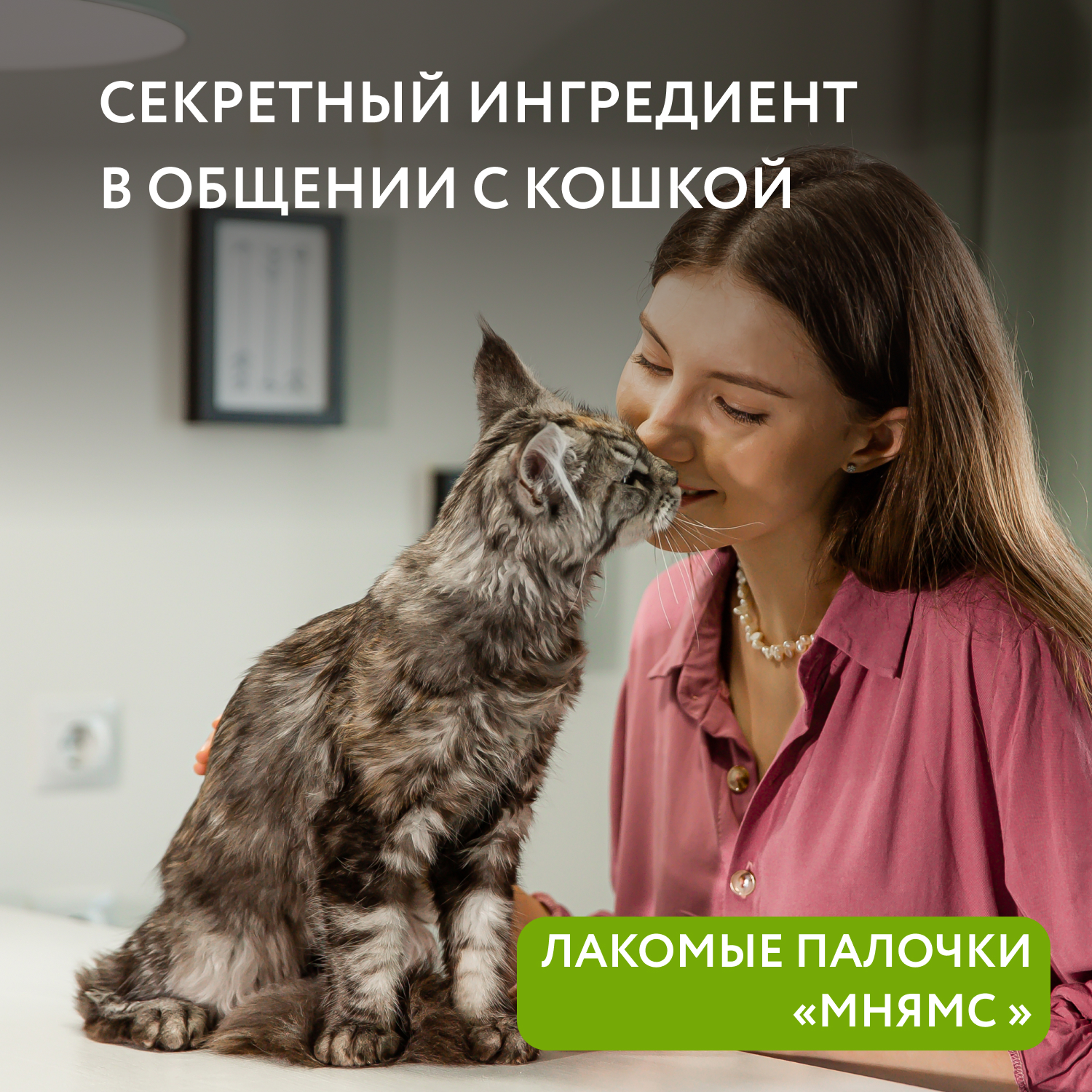 Лакомство Мнямс лакомые палочки для кошек с уткой и кроликом 3х5 г