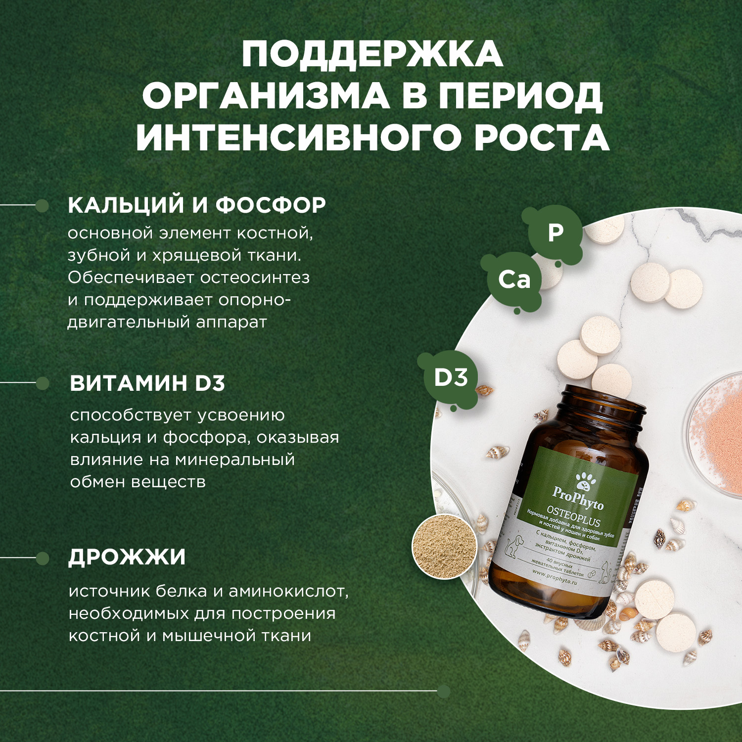 ProPhyto Остеоплюс, 40 таблеток