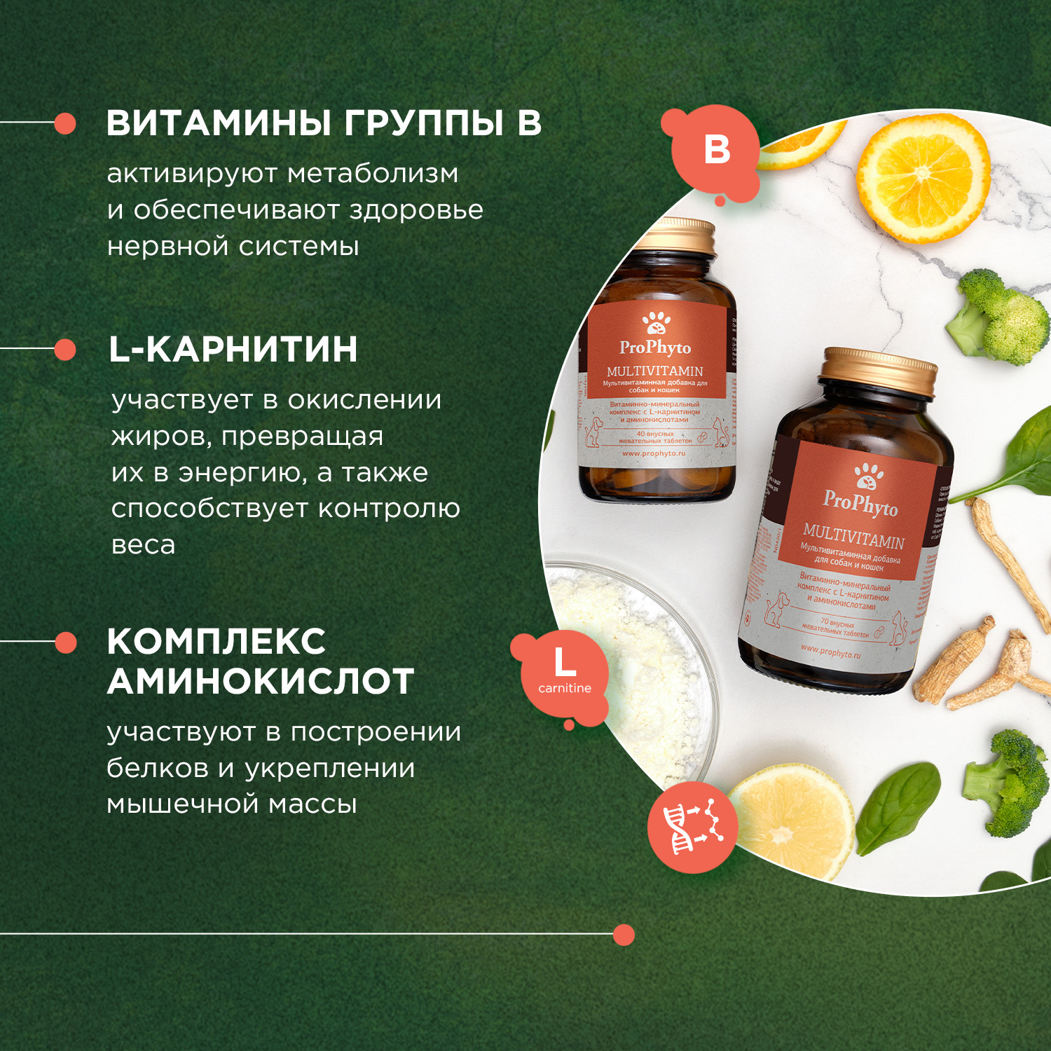 ProPhyto Мультивитамин, 70 таблеток