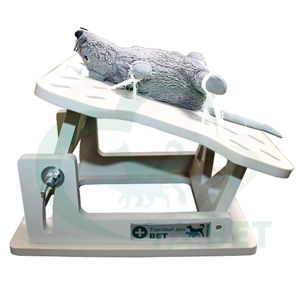 ТД ВЕТ Мини стол для операций с грызунами  №STL-02 VETBOT 400х200 мм