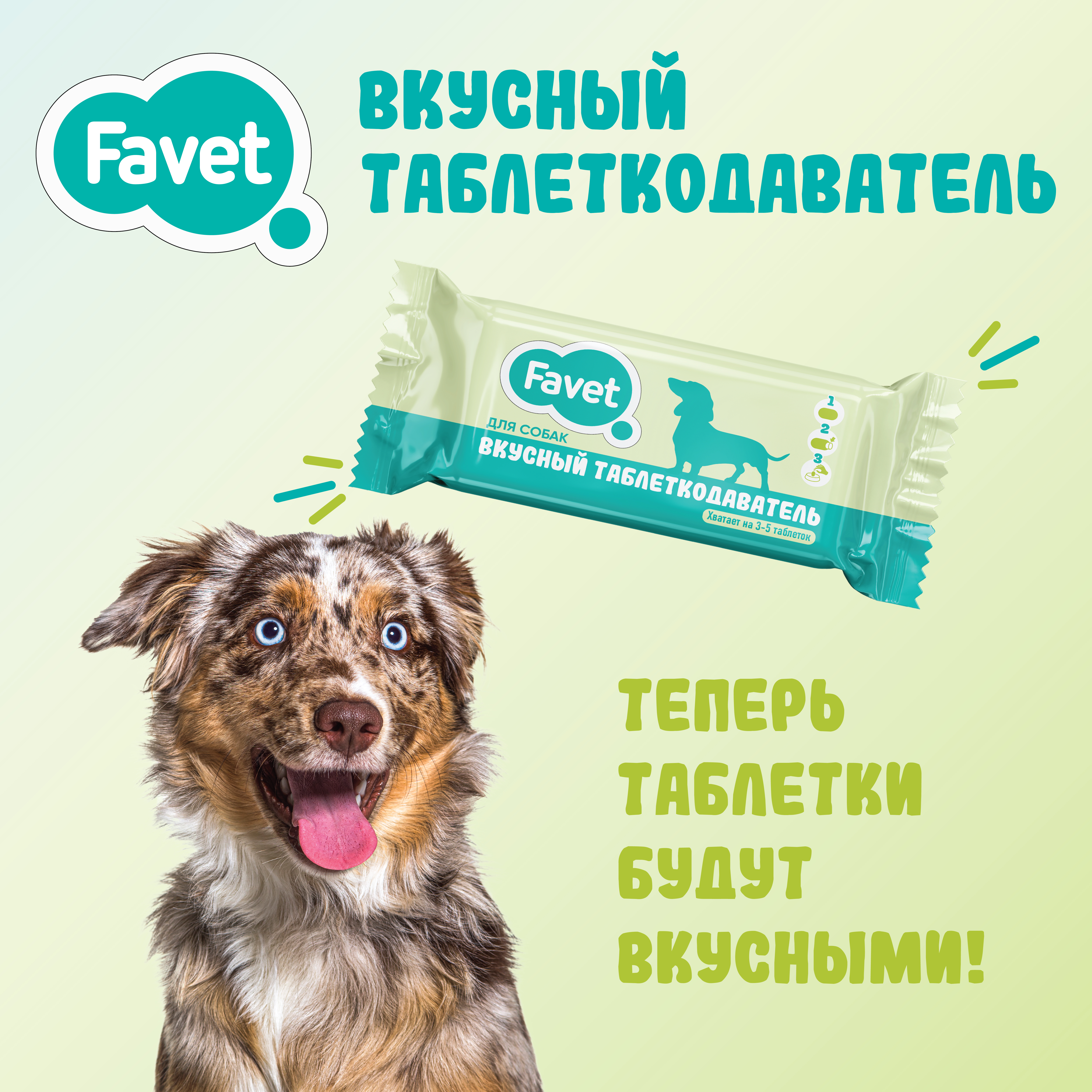Favet Вкусный таблеткодаватель для собак (12 шт.), ПЭТ-банка