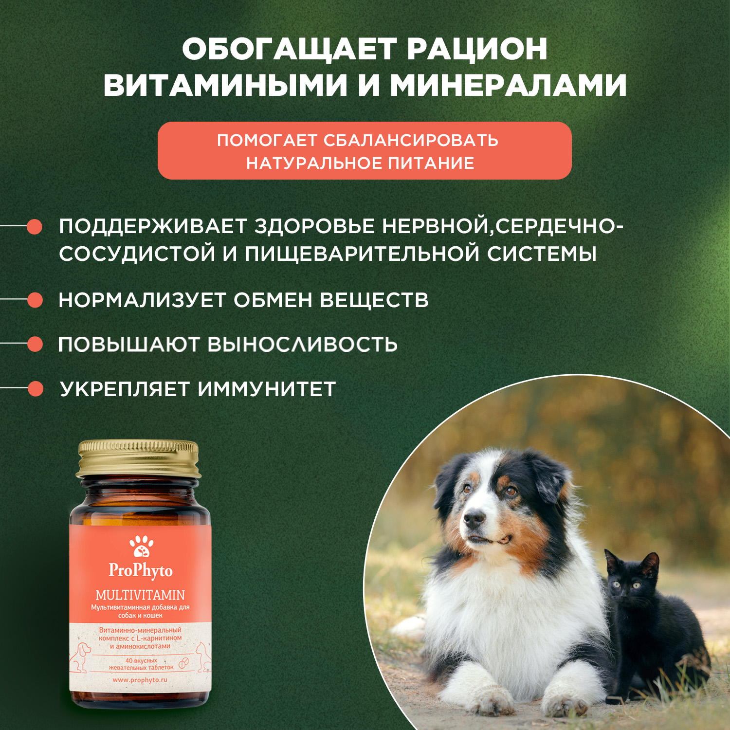 ProPhyto Мультивитамин, 40 таблеток