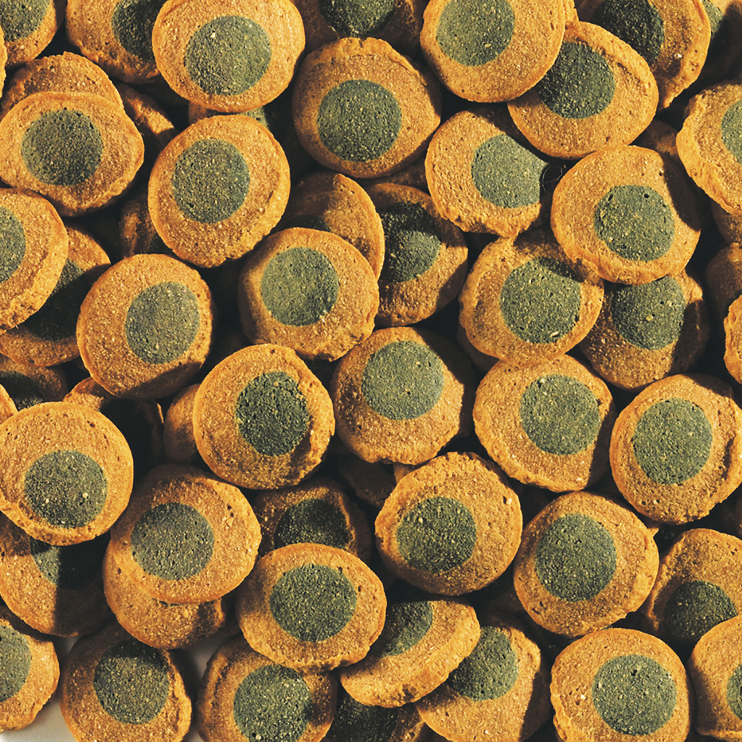 TetraPleco Spirulina Wafers корм для сомов чипсы 250 мл