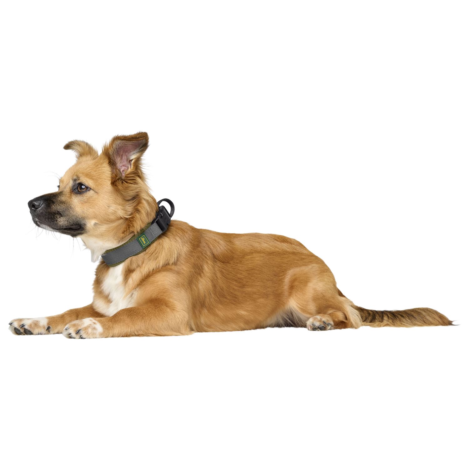 Ошейник Hunter Maldon для собак 45-55 см, размер L, оливковый/серый