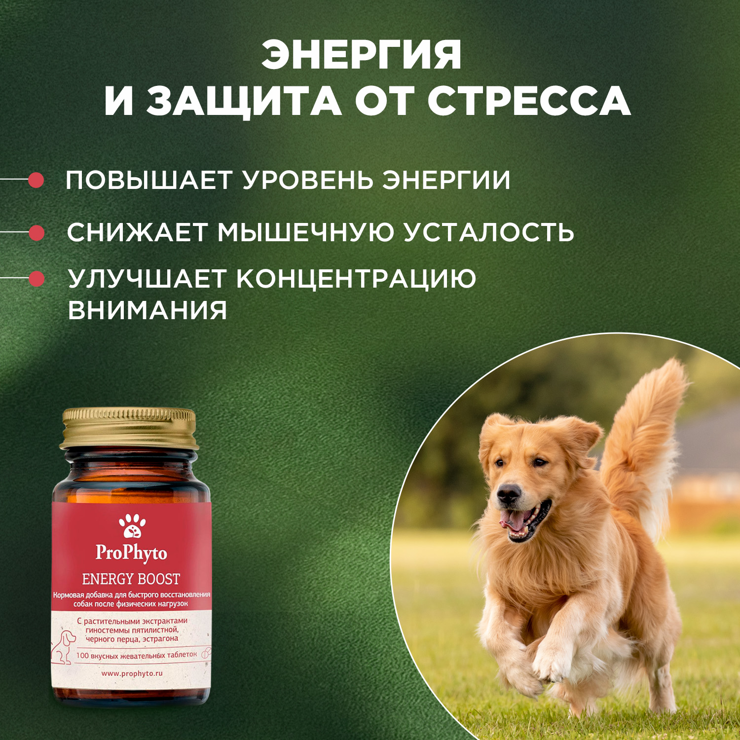 ProPhyto Энерджи Буст,100 таблеток