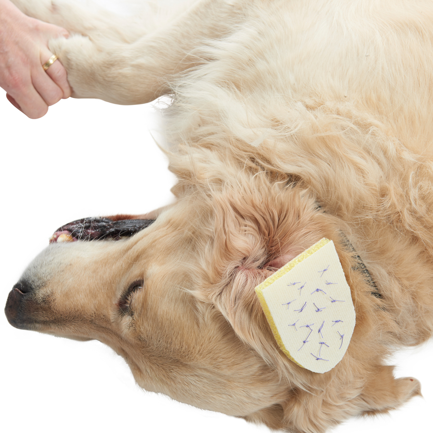 KRUUSE BUSTER гемостатическая губка 12 х 8 см.