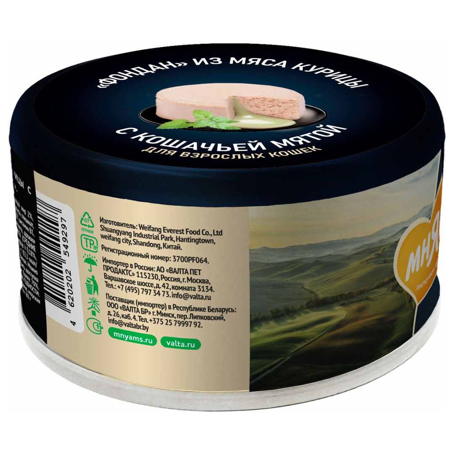 Влажный корм Мнямс Деликатес "Фондан" из мяса курицы с кошачьей мятой для кошек 80 г