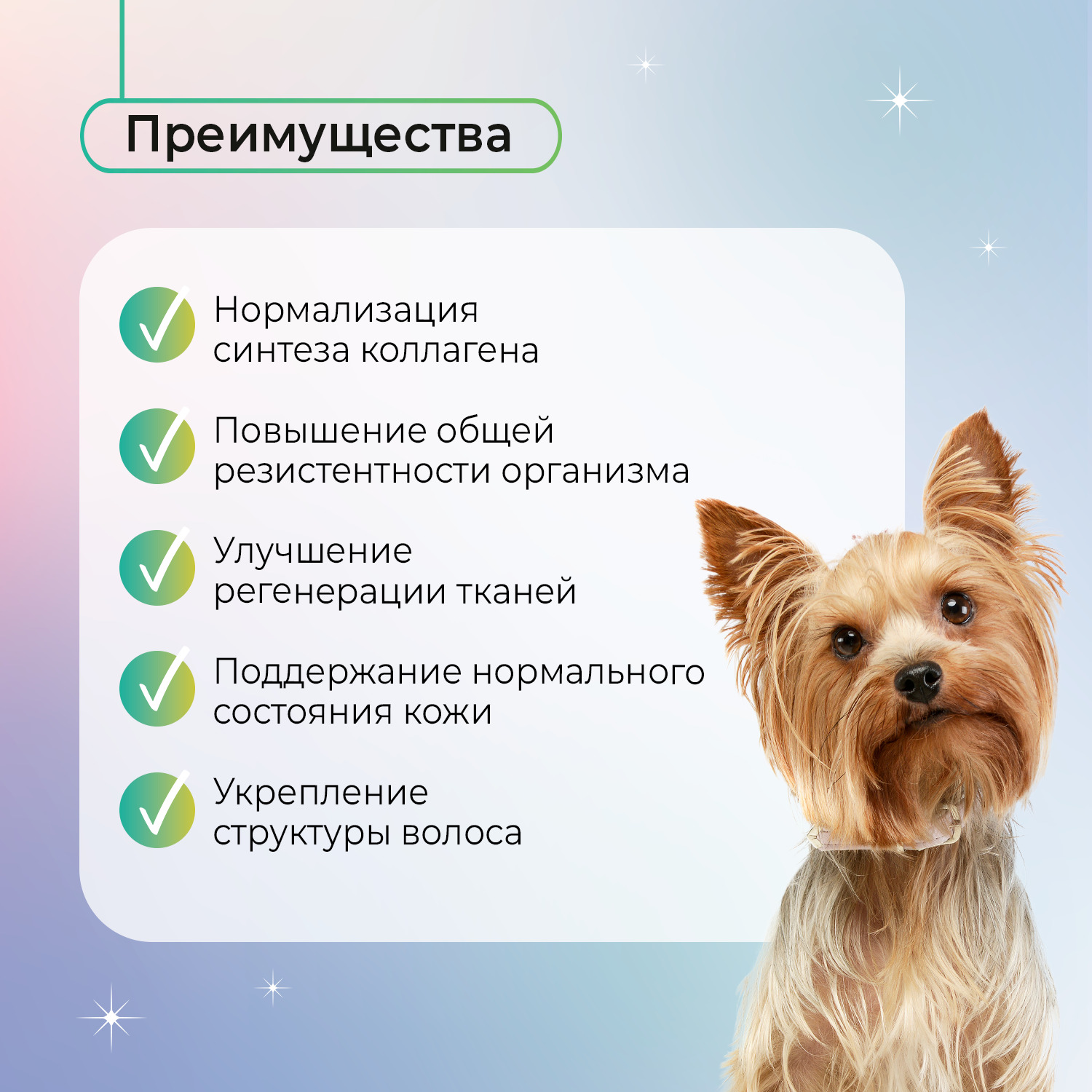 Favet Функциональное лакомство MultivitaminDog Soft Chews для кожи и шерсти для собак, 120г