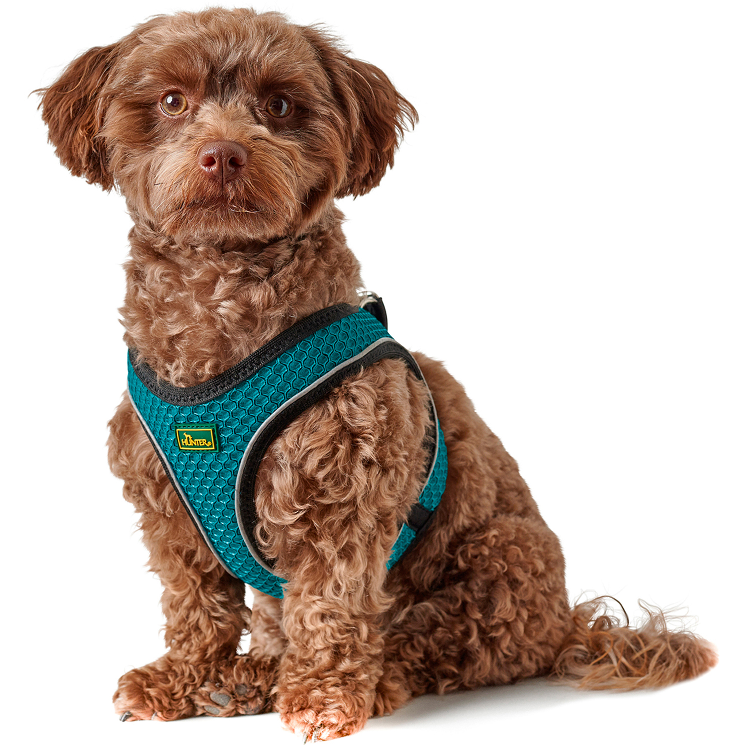 Hunter шлейка для собак Hilo Comfort 26-33 см, сетчатый текстиль, бирюзоваяя