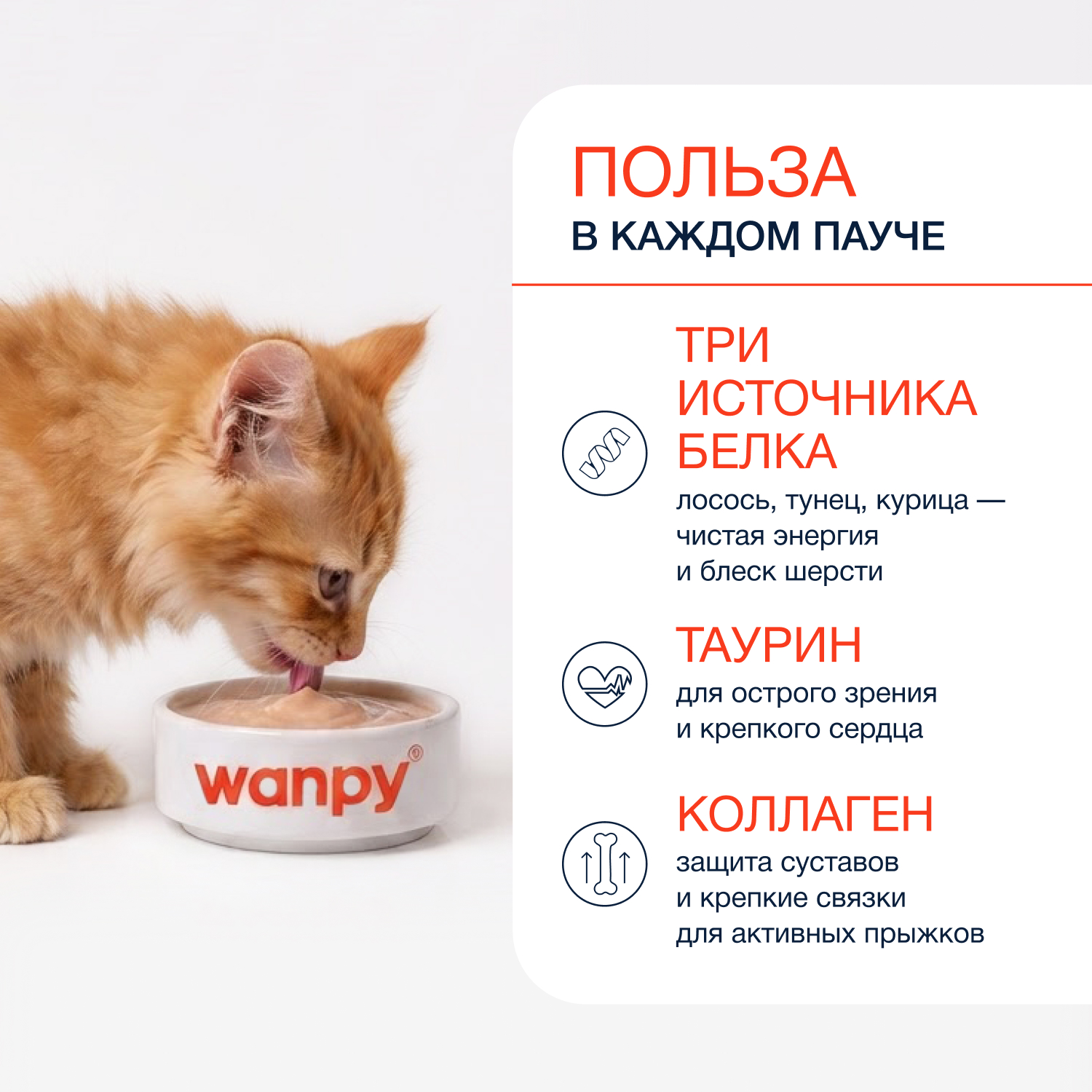 Wanpy Cat Лакомство для котят «нежное пюре» из лосося 70 г