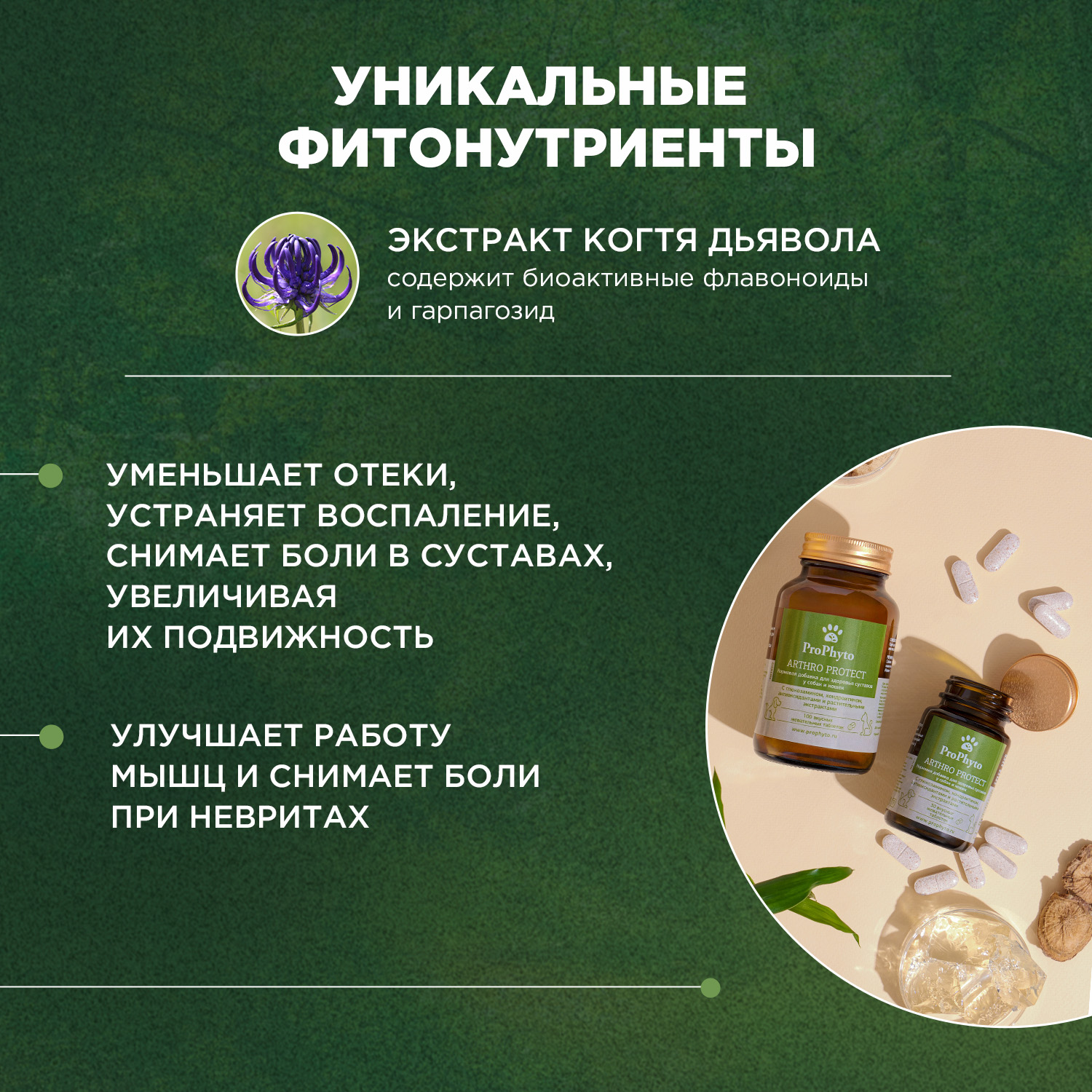 ProPhyto Артро Защита, 100 таблеток