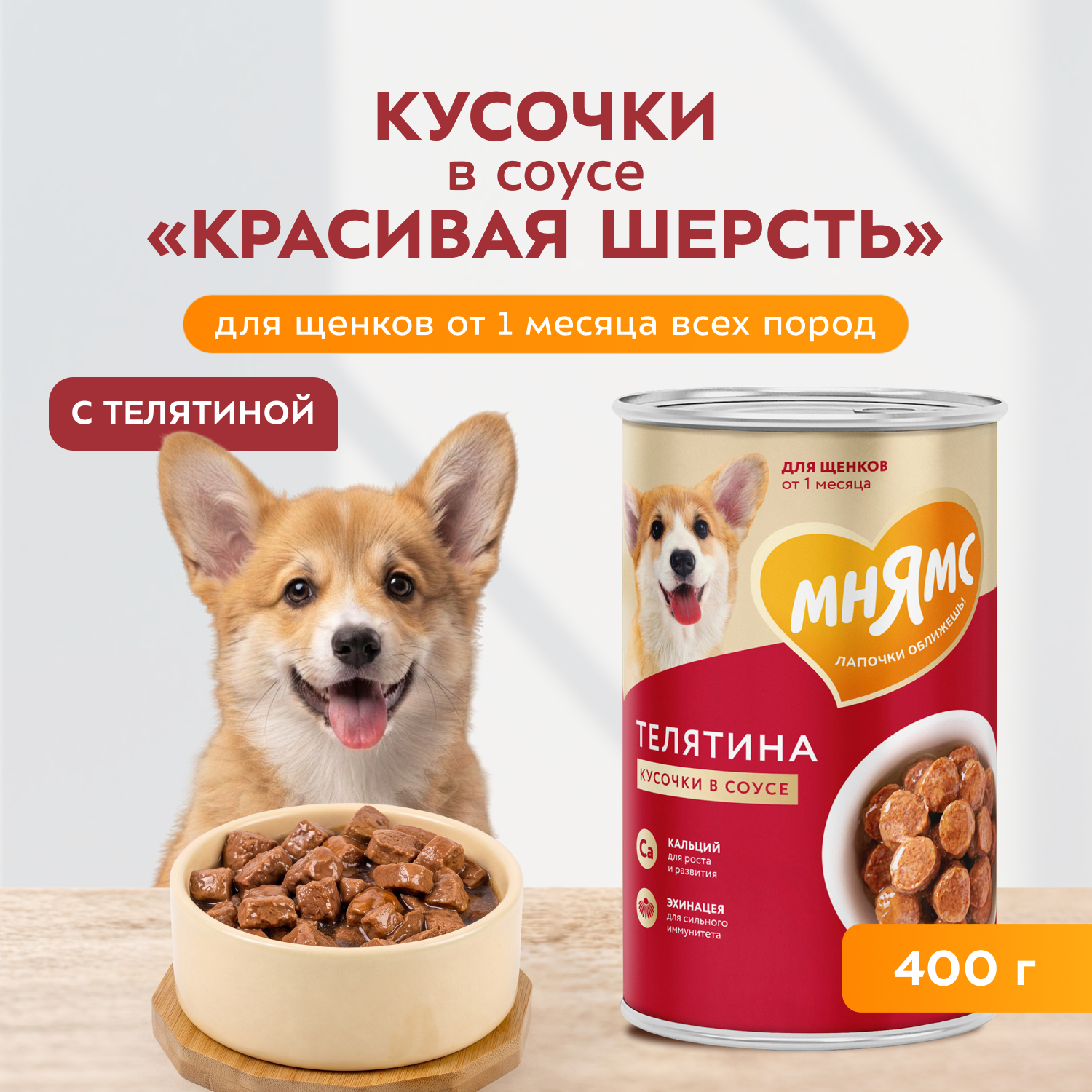 Влажный корм Мнямс На каждый день Кусочки в соусе с телятиной для щенков всех пород «ПРАВИЛЬНОЕ РАЗВИТИЕ», 400 г