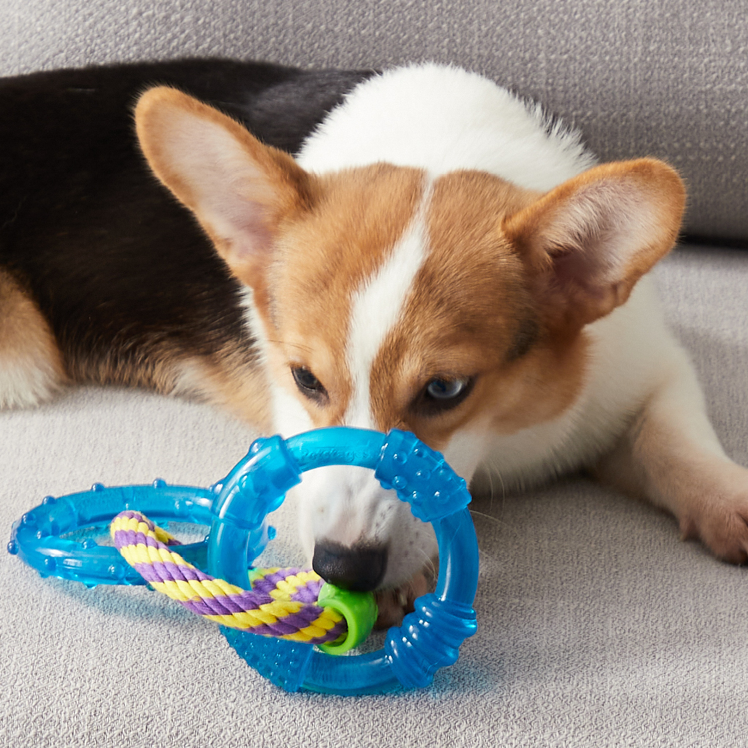 Petstages игрушка для собак "ОРКА 3 кольца" 23 см