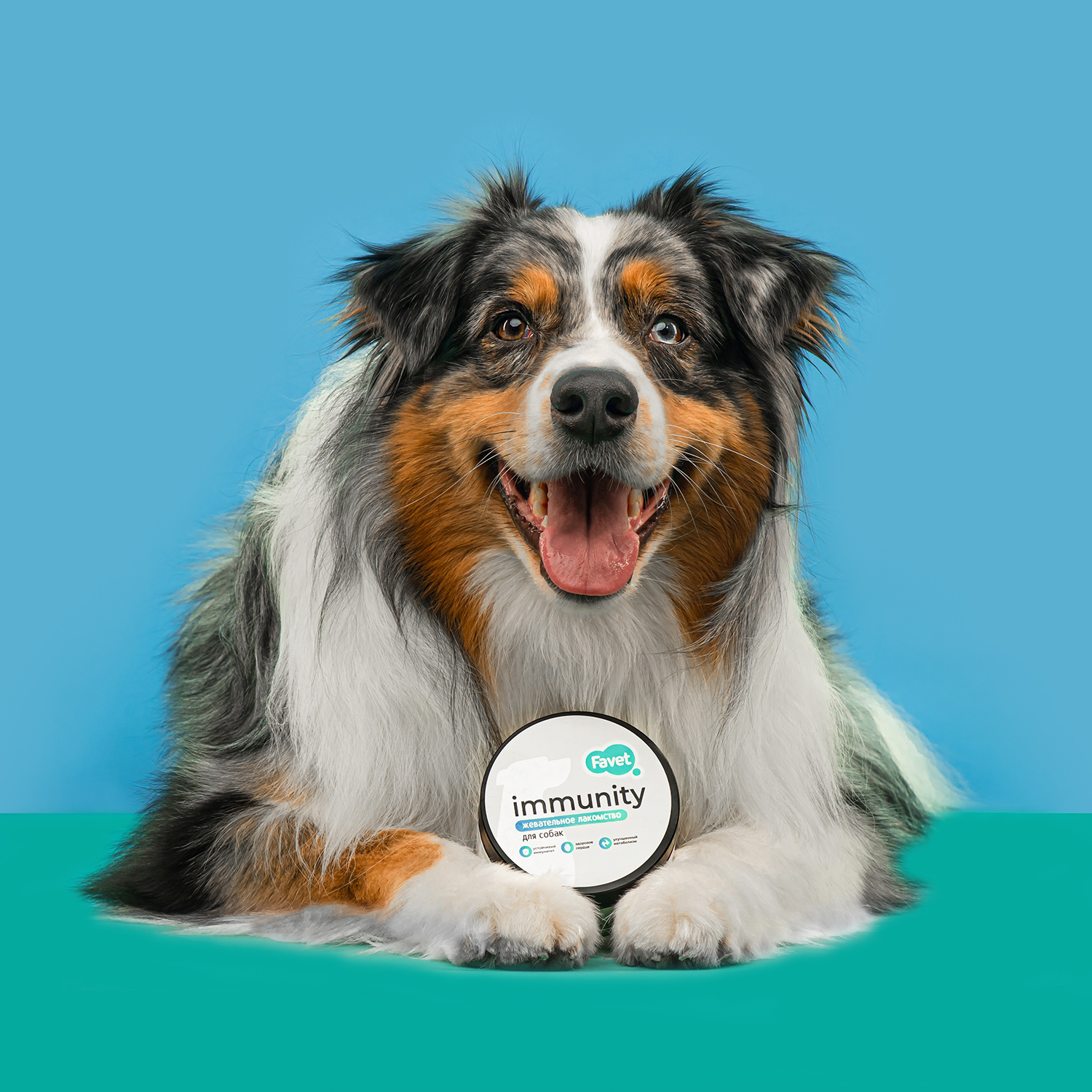 Favet Функциональное лакомство FerrumActive Soft Chews для иммунитета для собак, 120г