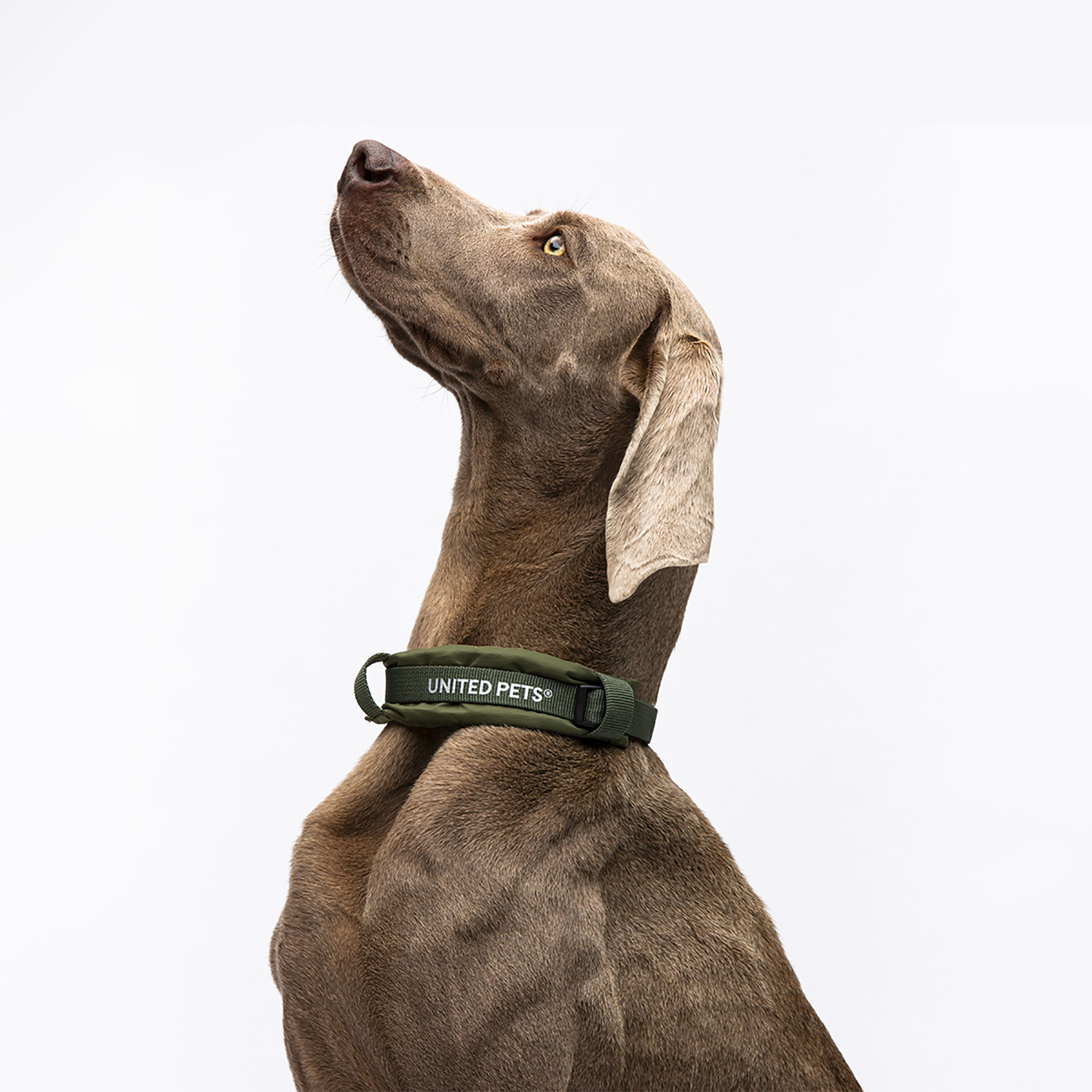 Ошейник United Pets с мягкой подкладкой для собак Citylife M 20 x 35-50 см хаки