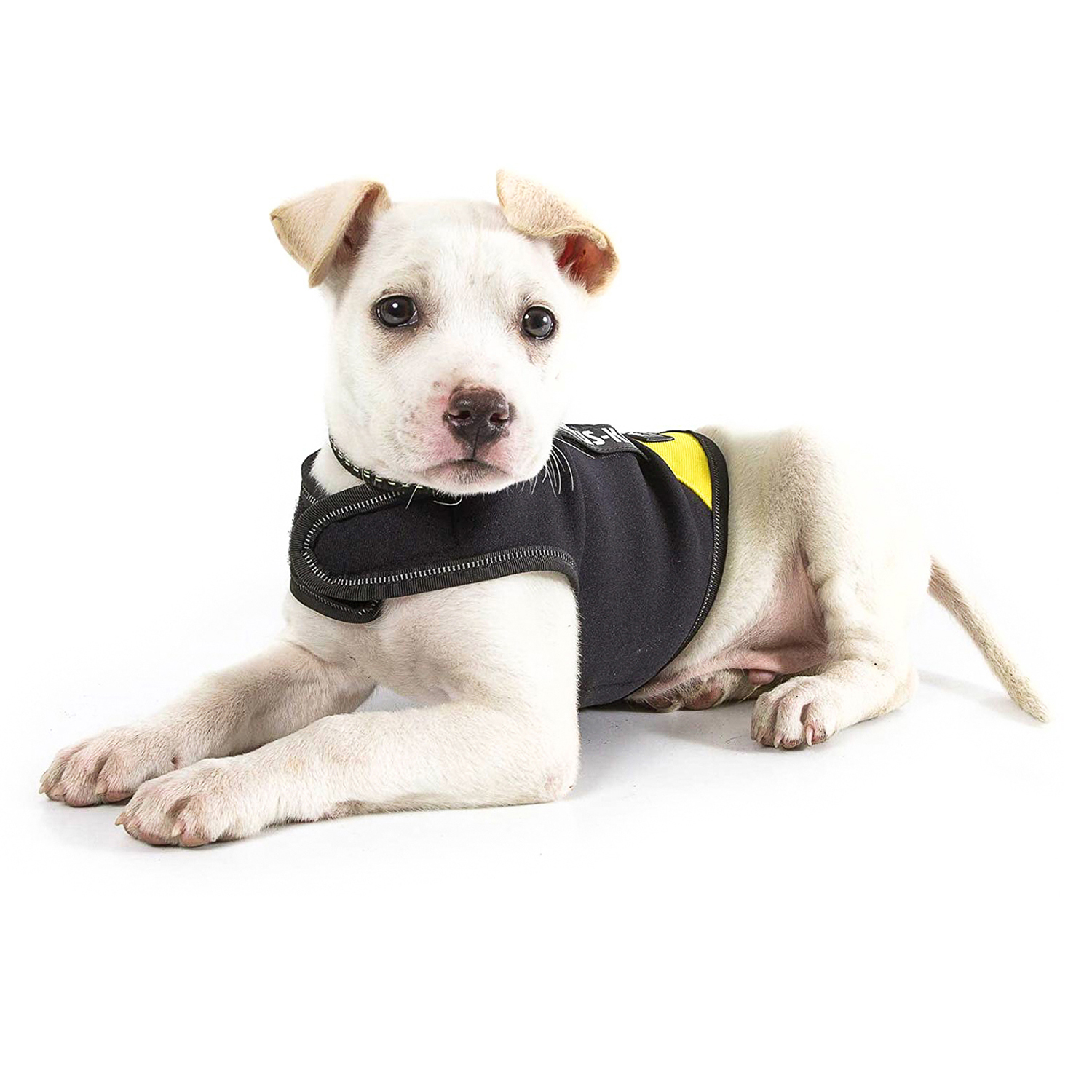 JULIUS-K9 жилет для собак Neoprene IDC® XS (43-53см / длина 33см), черно-желтый СКИДКА 50%