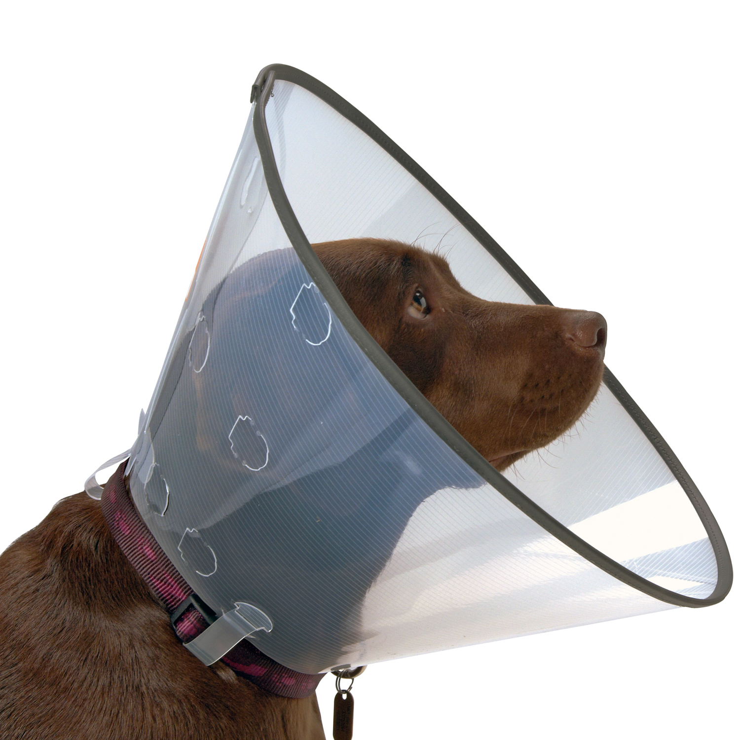 KRUUSE (из наличия) защитный воротник комфорт  7,5 см для собак СКИДКА 80%