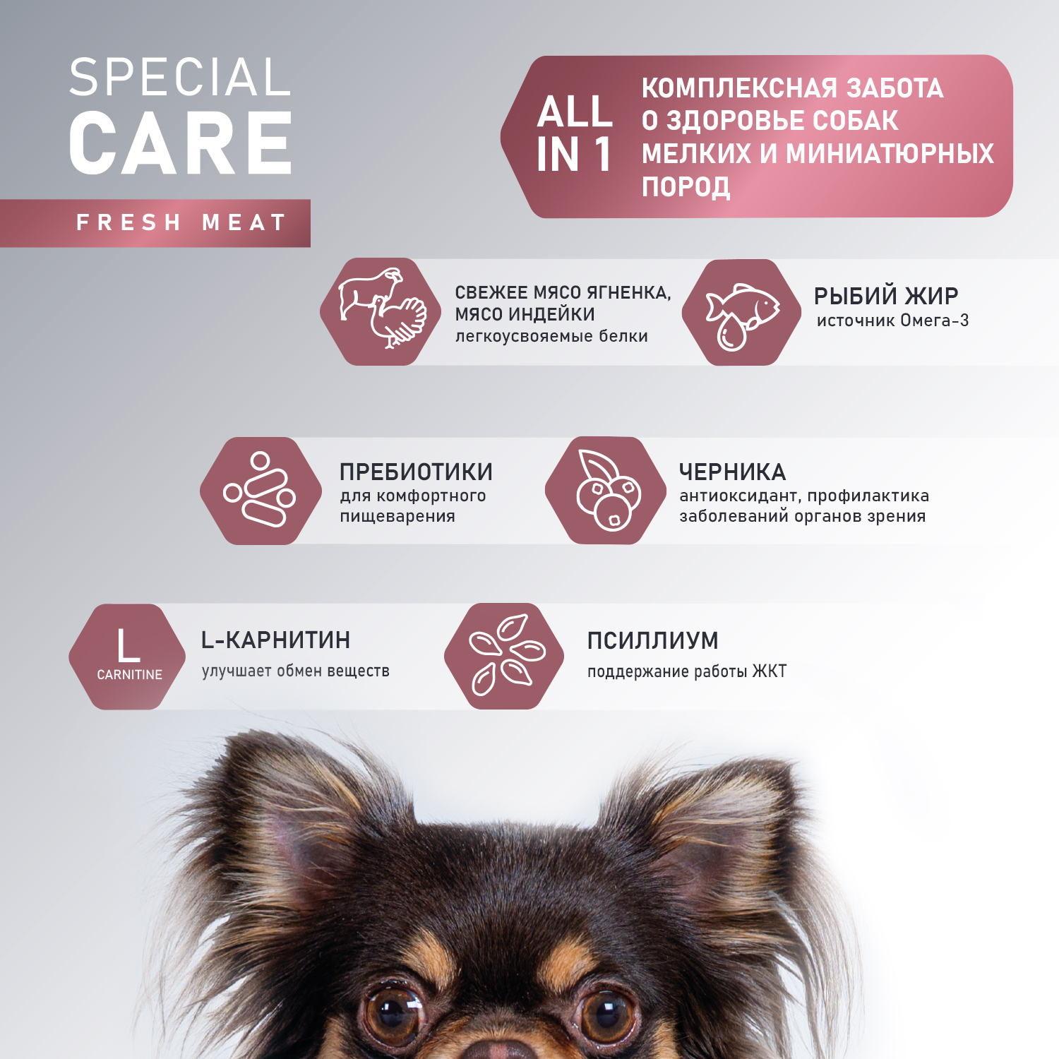 Сухой корм AWARD SPECIAL CARE Toy Breed Support для взрослых собак мелких и миниатюрных пород со свежим мясом ягненка 1,5кг