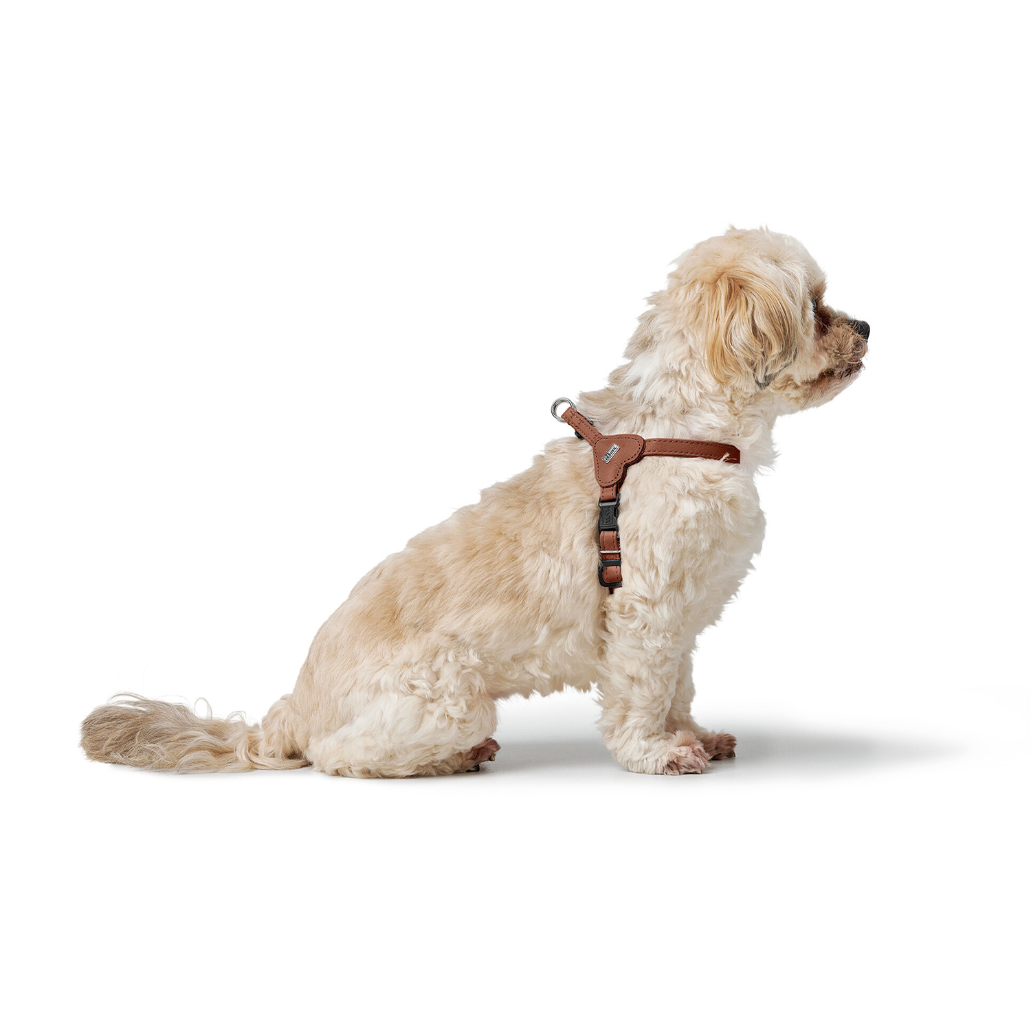 Hunter шлейка для собак Soho Mini XXS-XS (28-34 см), натуральная кожа, коричневая