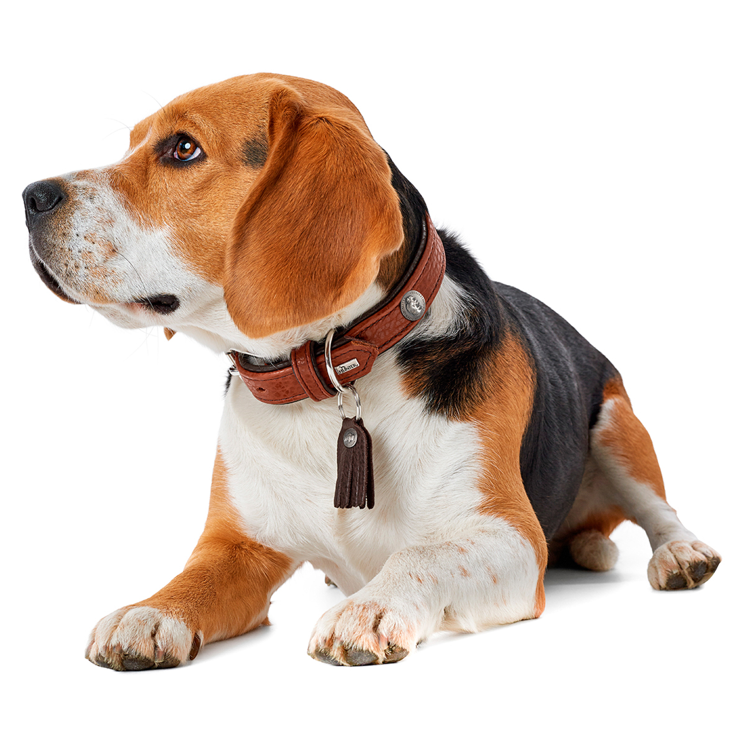 Hunter ошейник для собак Cody 55 (42-48 см) / 3,5 кожа бизона коньячный / темно коричневый СКИДКА 50%