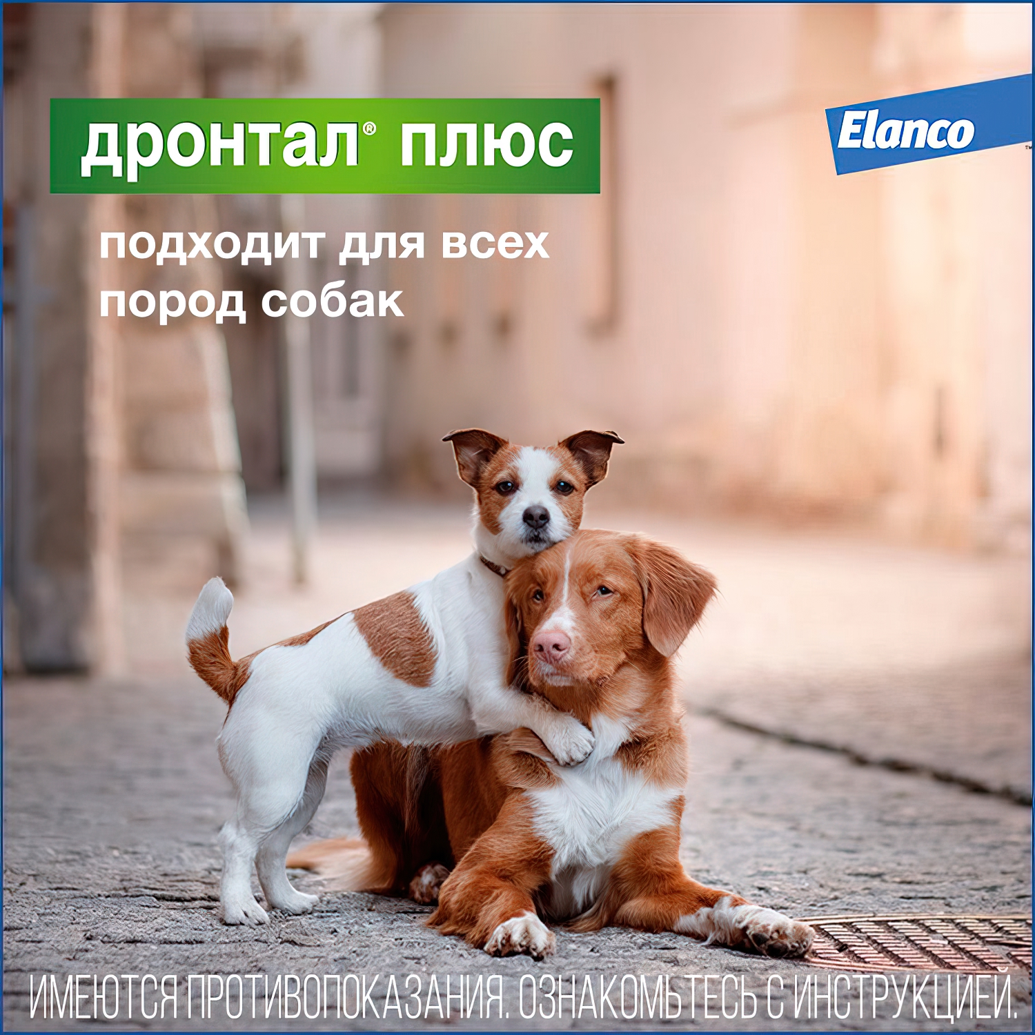 Bayer Дронтал плюс таблетки со вкусом мяса от гельминтов для собак 2 таб. (1 таб. на 10 кг)