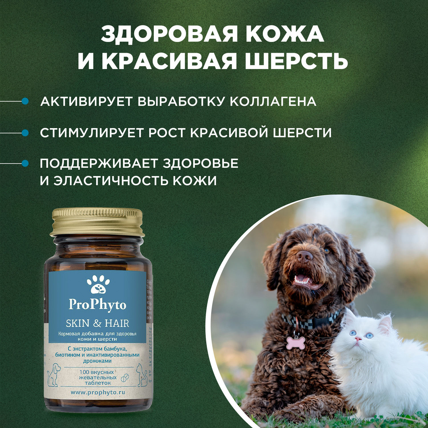 ProPhyto для Кожи и Шерсти, 100 таблеток