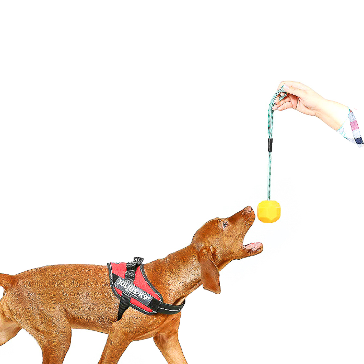 JULIUS-K9 игрушка для собак Мяч с ручкой 6см, флуоресцентный, силикон СКИДКА 50%