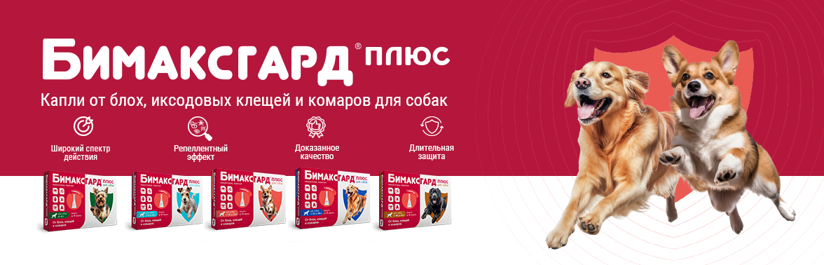 Баннер