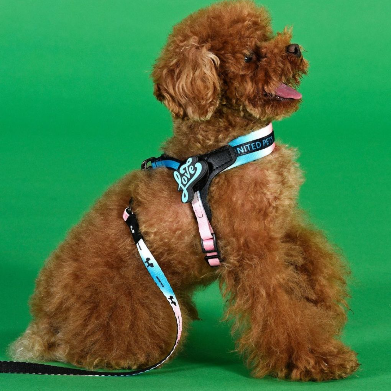 Шлейка United Pets для собак Complete me 0.5 - XXXS 25-33, розово-голубой тай-дай