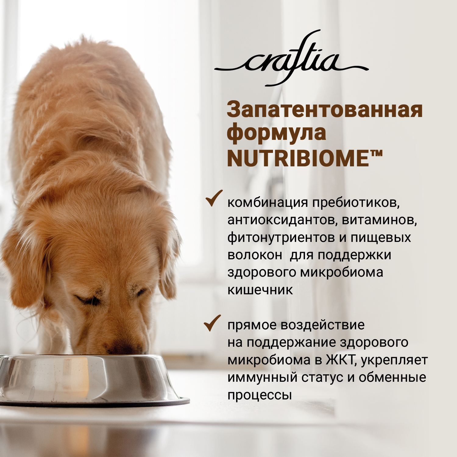 Сухой корм CRAFTIA NATURA для взрослых собак средних и крупных пород из утки с фазаном 7 кг