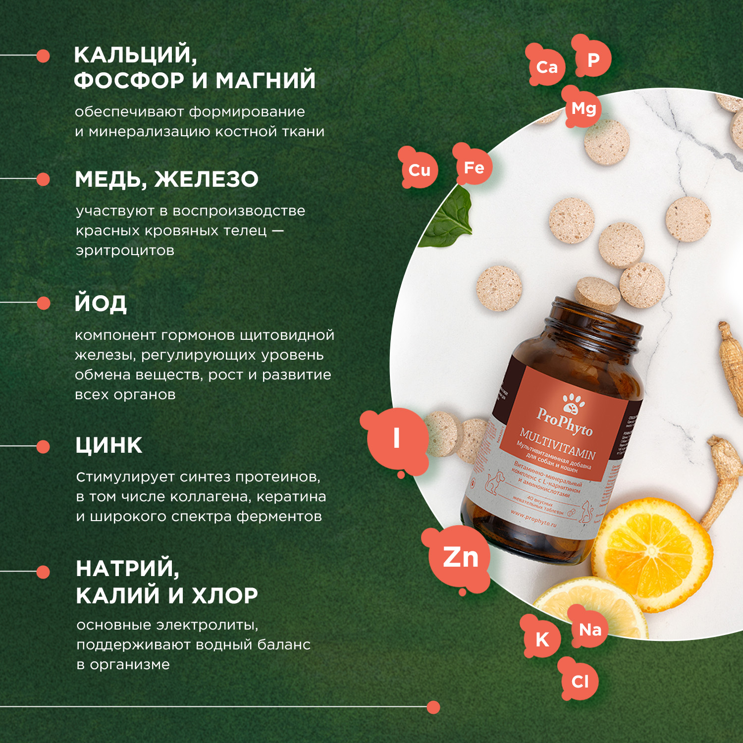 ProPhyto Мультивитамин, 70 таблеток