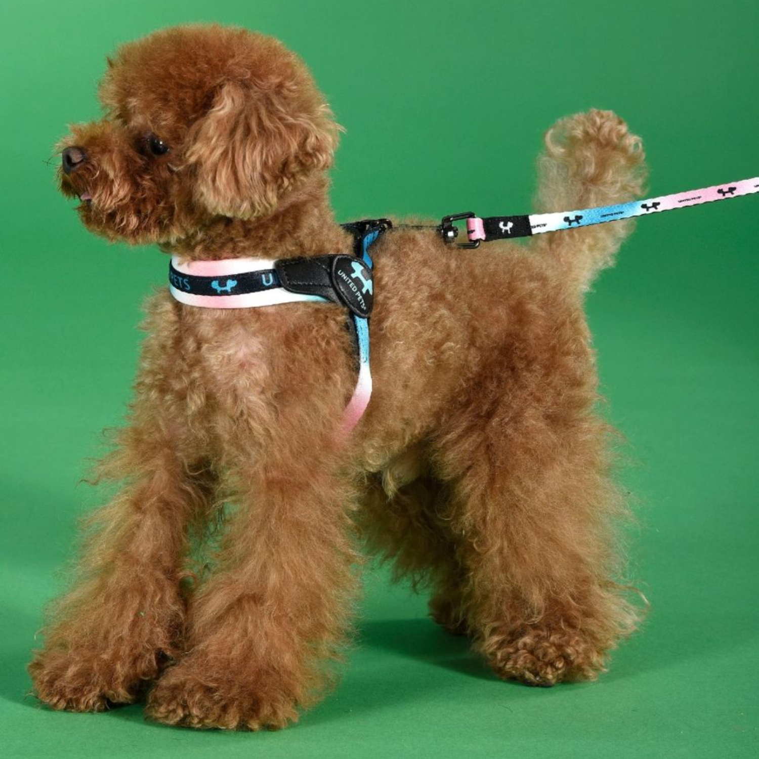 Поводок United Pets для собак Complete me 16 x 1400 mm, розово-голубой тай-дай СКИДКА 40%