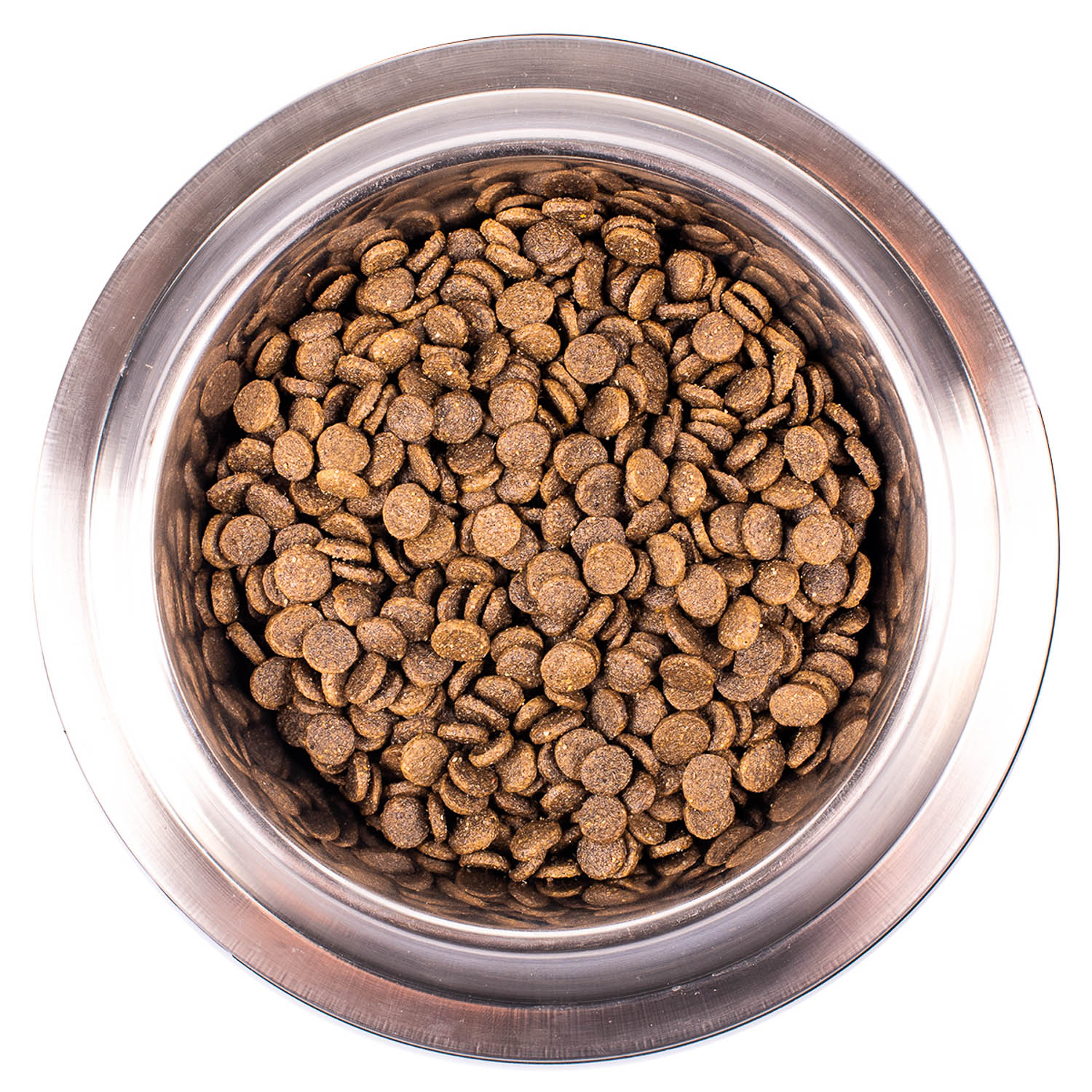 Сухой корм Monge Dog Speciality Line Monoprotein Mini для щенков и беременных собак мелких пород, из ягненка с рисом 2,5 кг