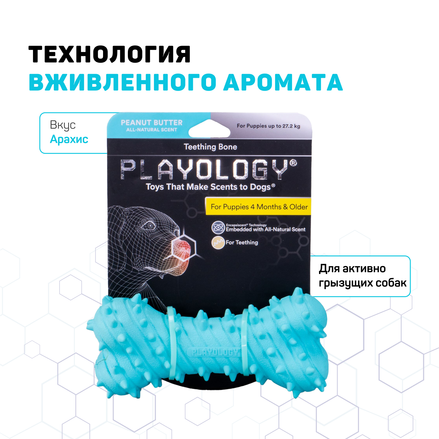 Playology дентальная жевательная косточка PUPPY TEETHING BONE для щенков 4-8 месяцев с ароматом арахиса, цвет голубой СКИДКА 50%