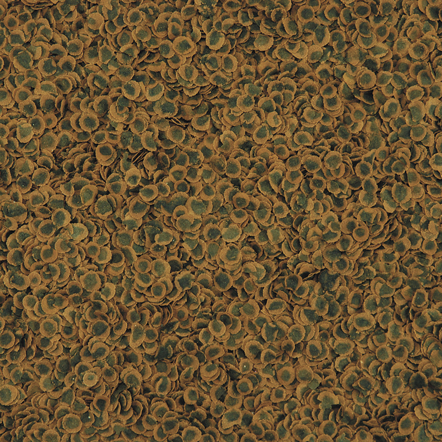 TetraPro Algae Crisps раст.корм для всех видов рыб в чипсах 500 мл