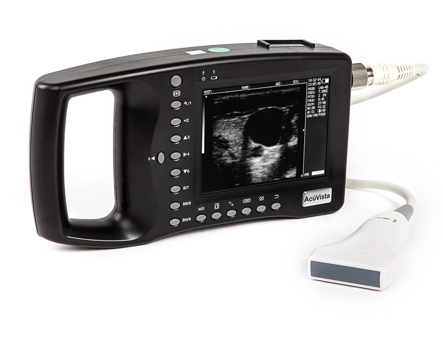 Ультразвуковой сканер AcuVista RS880b (c 1 датчиком, портативный)