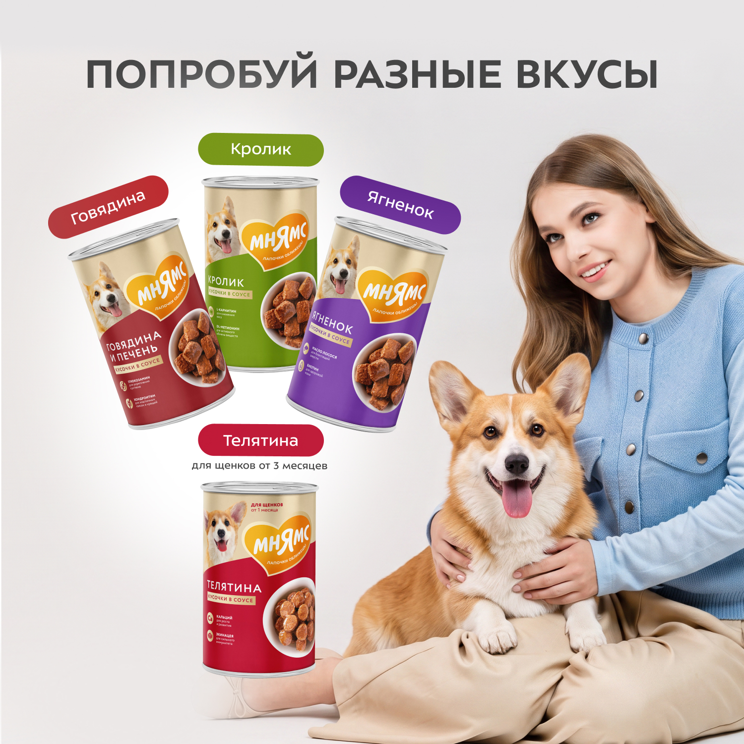 Влажный корм Мнямс На каждый день Кусочки в соусе с индейкой для собак всех пород «КОМФОРТНОЕ ПИЩЕВАРЕНИЕ", 400 г