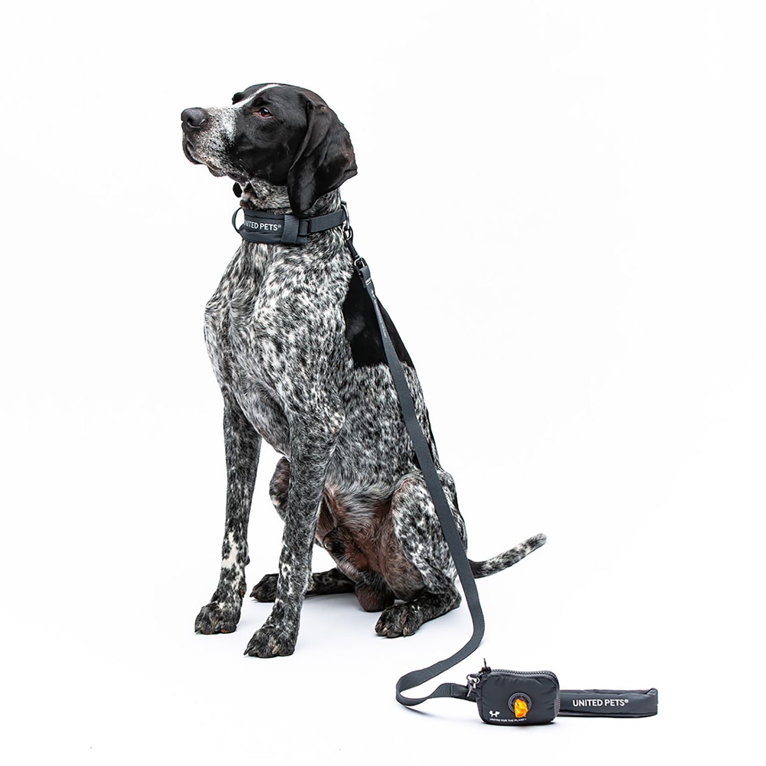 Ошейник United Pets с мягкой подкладкой для собак Citylife L 25 x 40-60 см черный