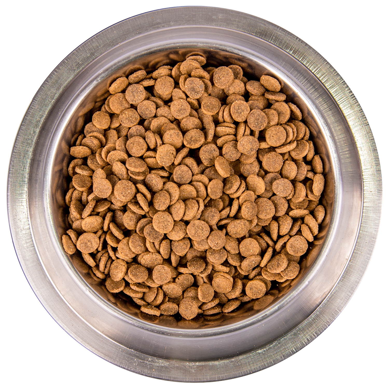Сухой корм Monge Cat BWild GRAIN FREE для кошек, из лосося, беззерновой, 1,5 кг