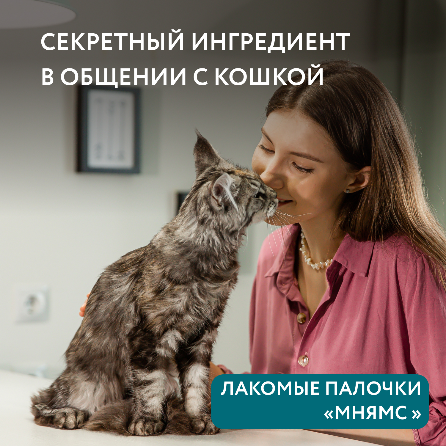 Лакомство Мнямс лакомые палочки для стерилизованных кошек из индейки и цыпленка 10х5 г