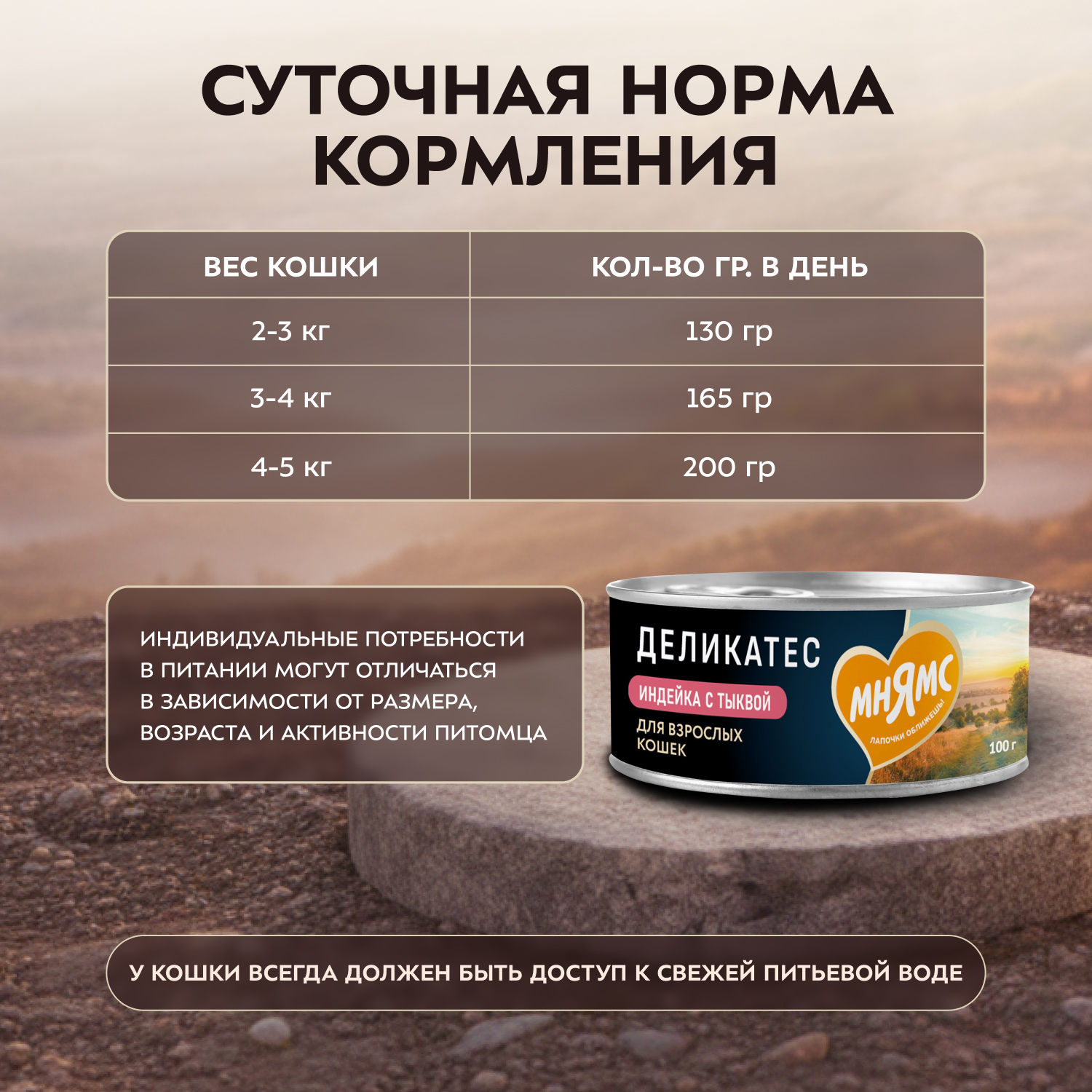 Влажный корм Мнямс Деликатес Индейка с тыквой для кошек "Паштет по-оксфордски" 100 г