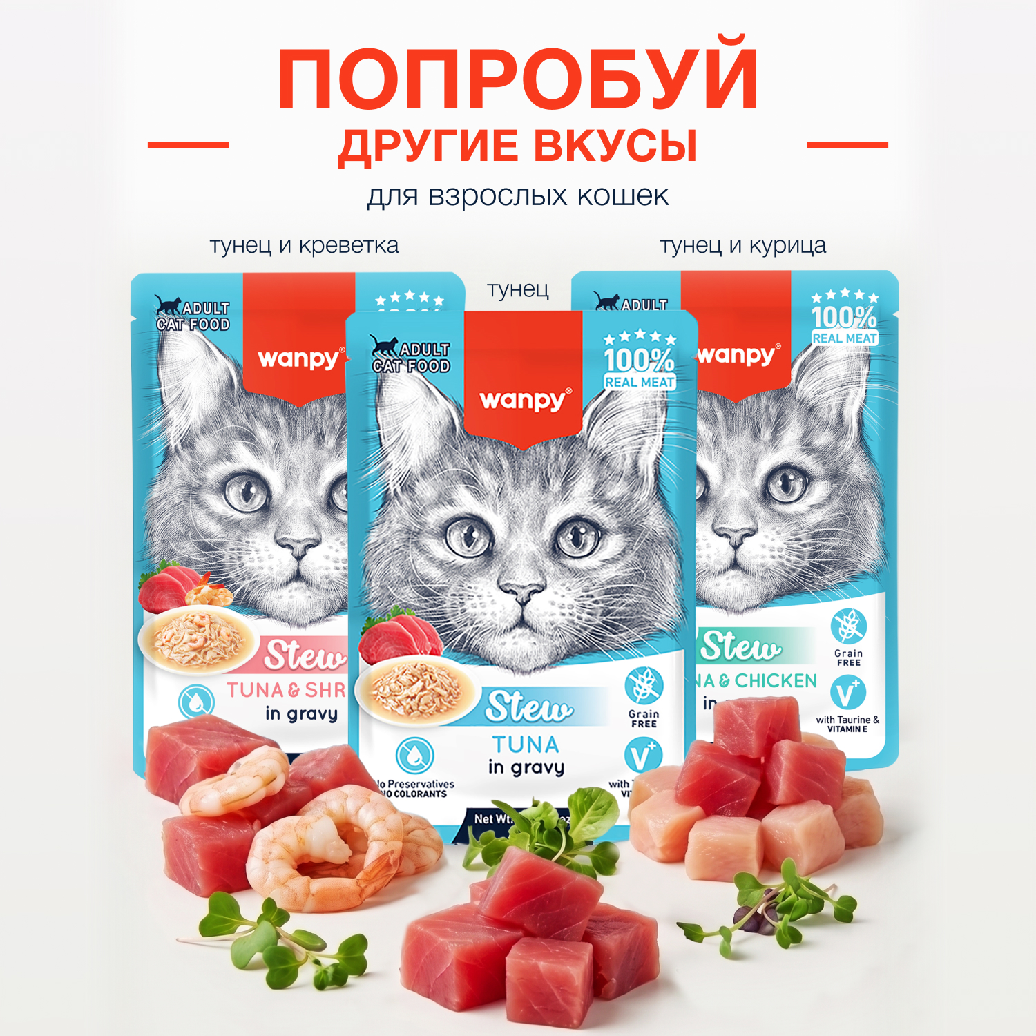Wanpy Cat Дополнительный консервированный корм пауч для кошек курица в собственному соку 70 г