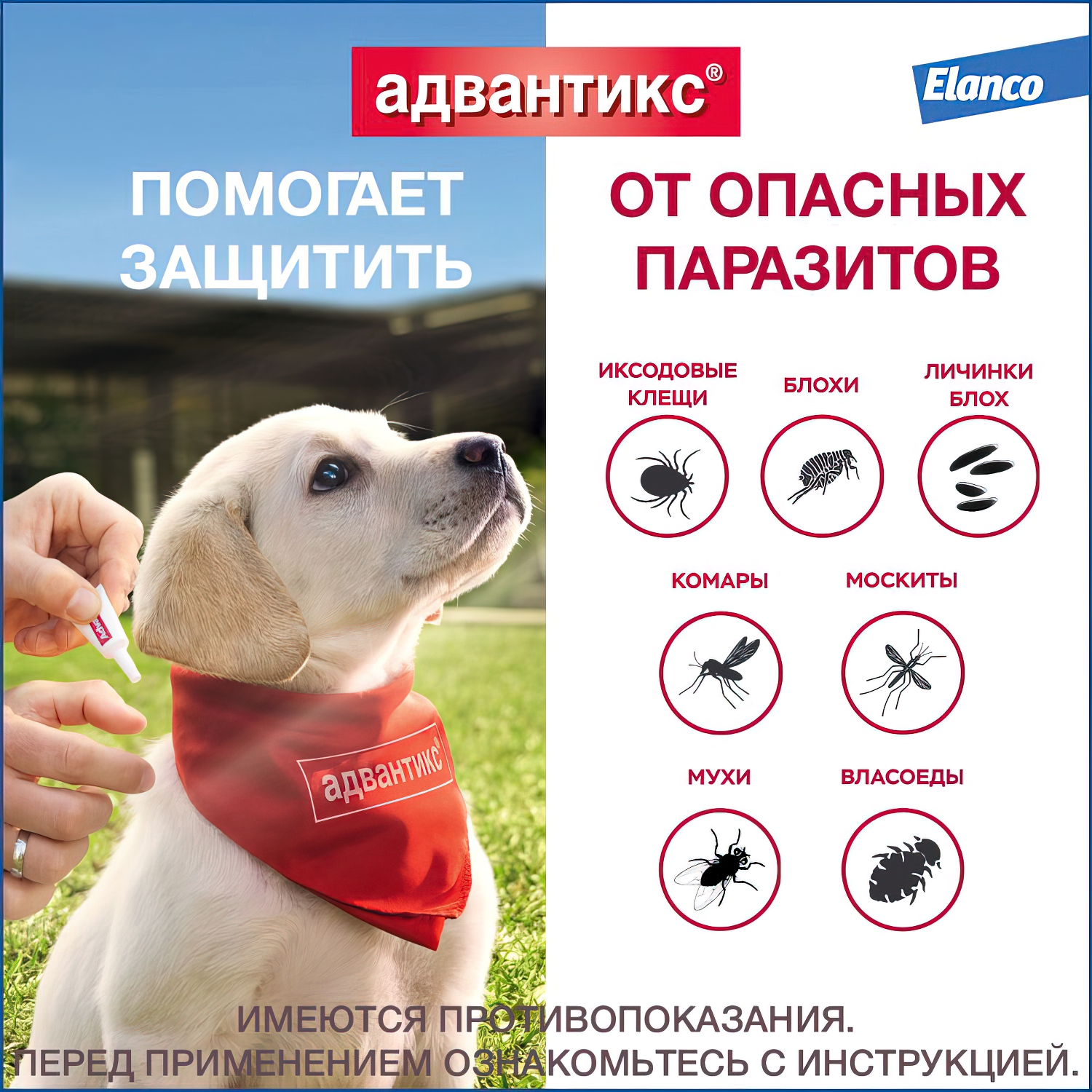 Bayer Адвантикс 250 С для собак 10-25 кг от блох, клещей и комаров (4 пипетки х 2,5 мл)