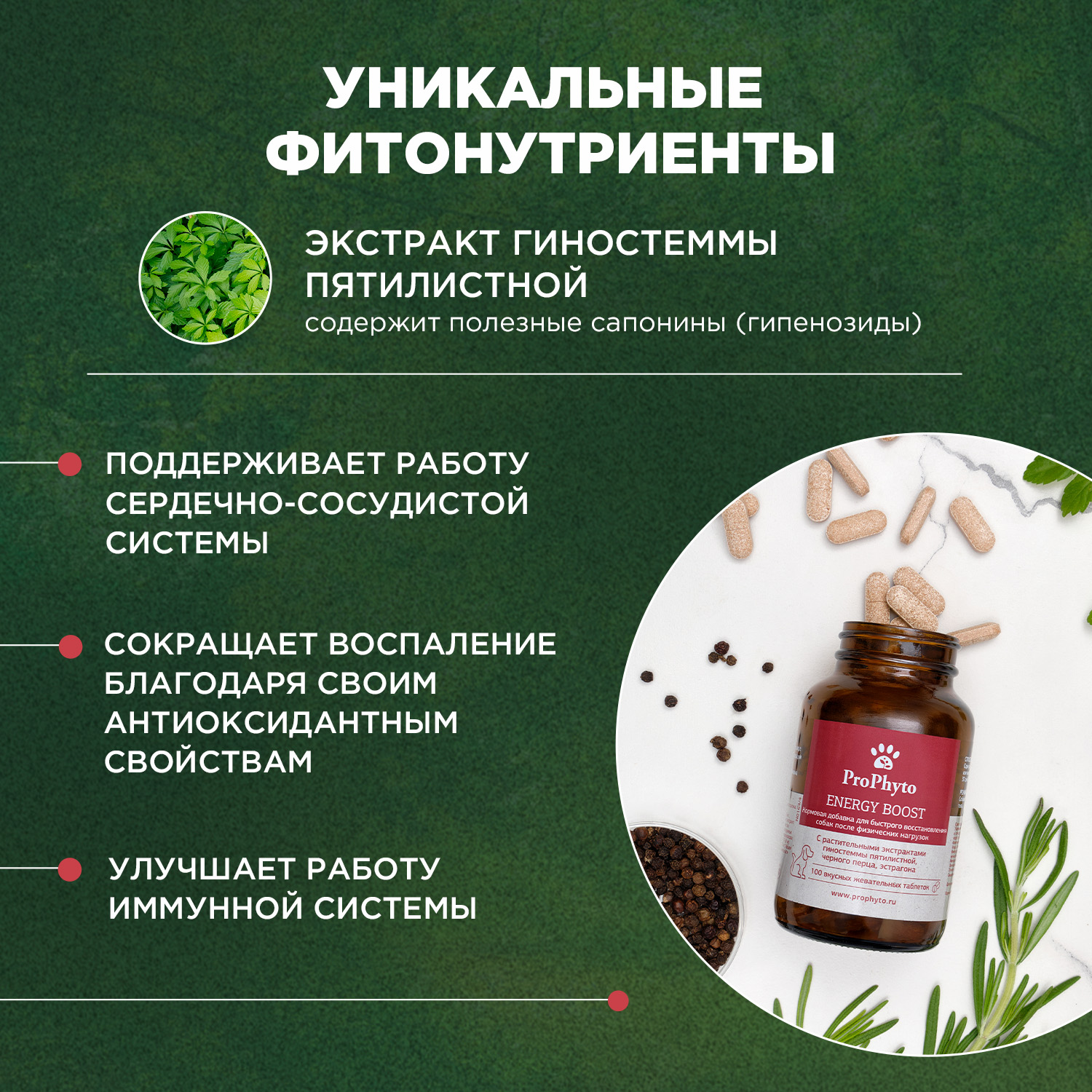 ProPhyto Энерджи Буст, 30 таблеток