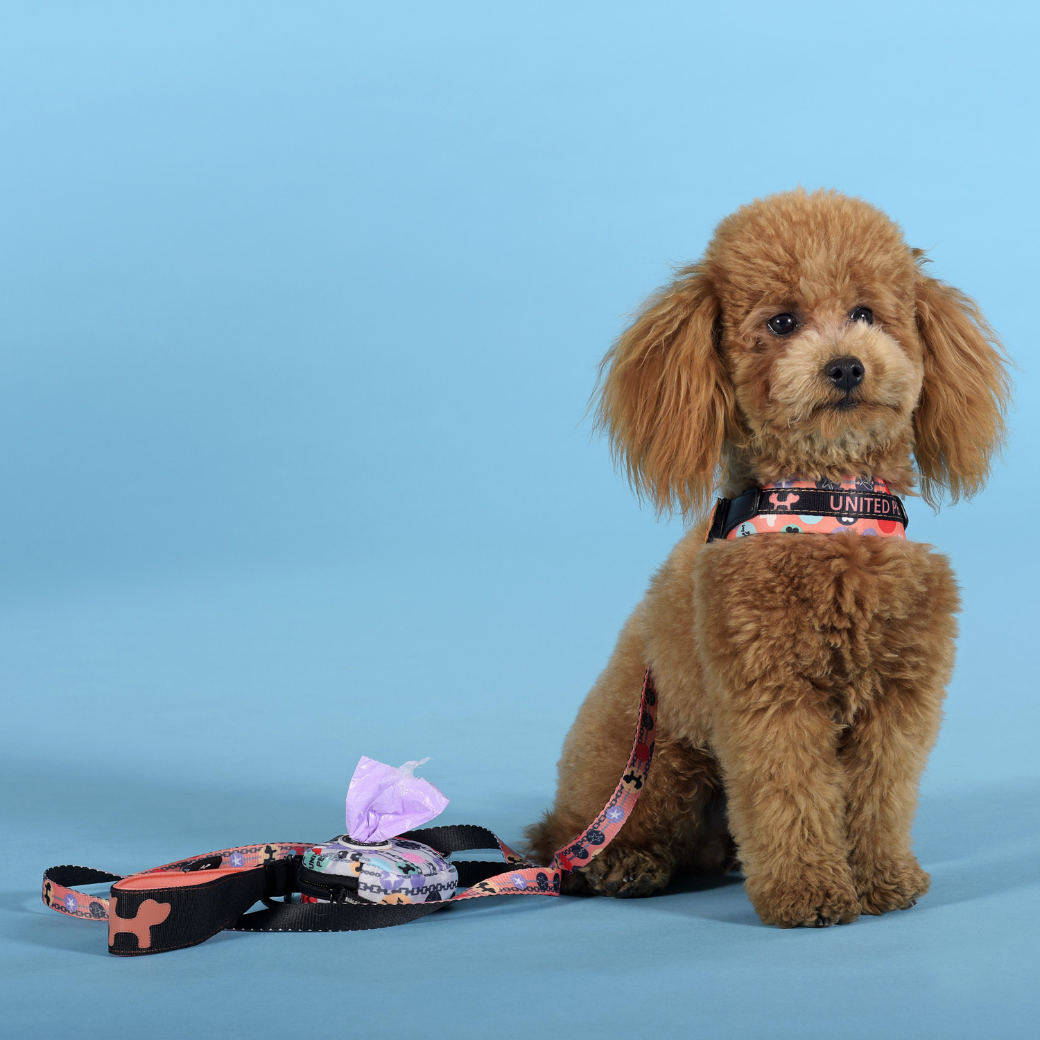 Шлейка United Pets для собак Complete me Forever 3,5 x 48-64 см, оранжевая с рисунком