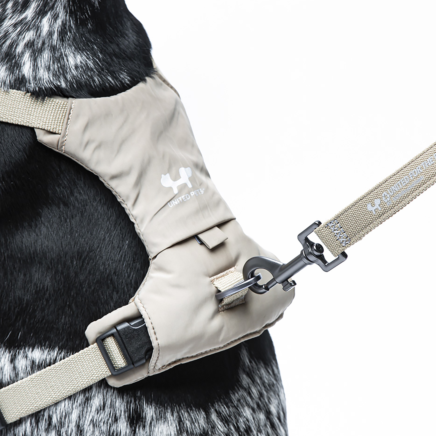 Шлейка United Pets для собак Citylife Y-образная M 20 x 57-78, бежевый