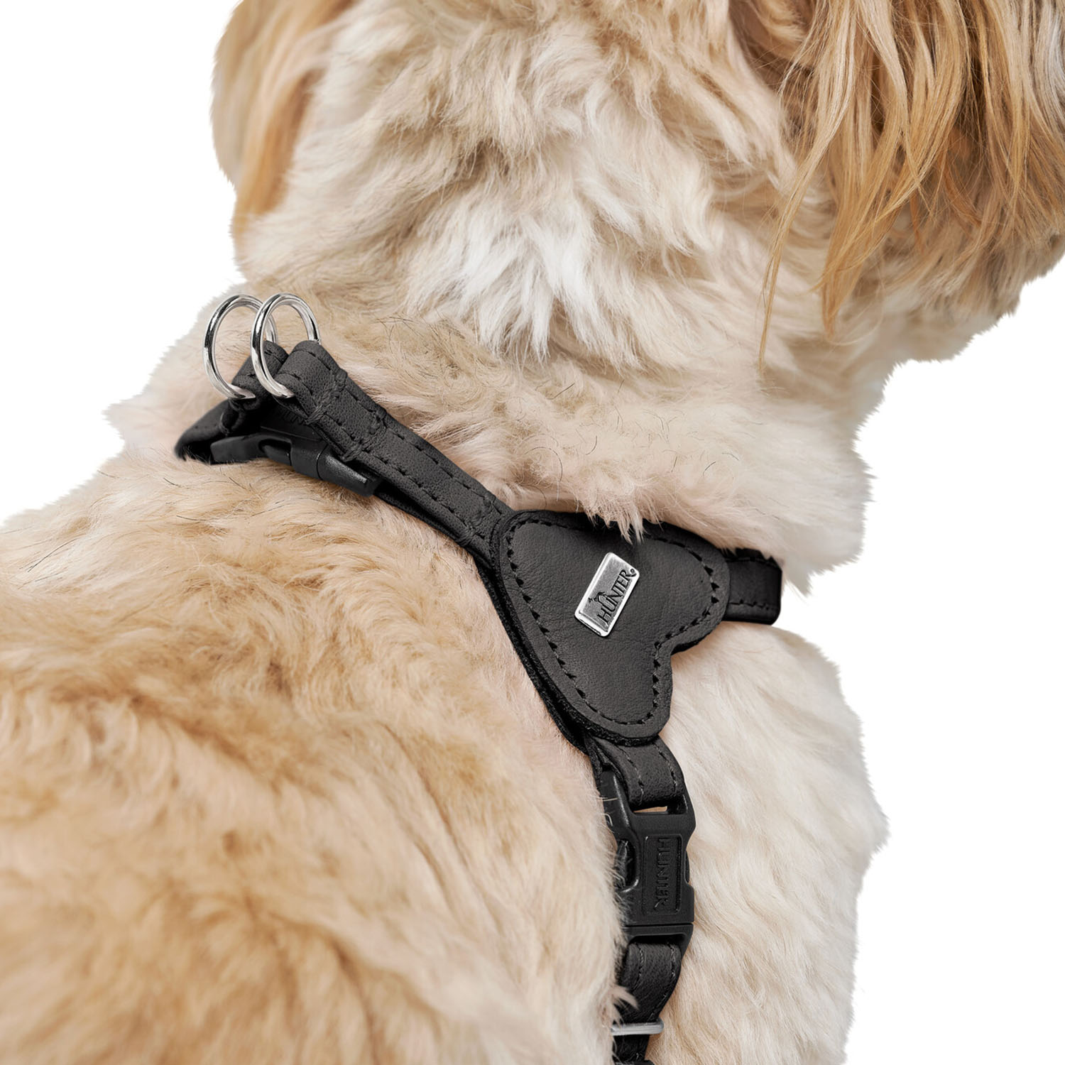 Hunter шлейка для собак Soho Mini XXS-XS (28-34 см), натуральная кожа, черная