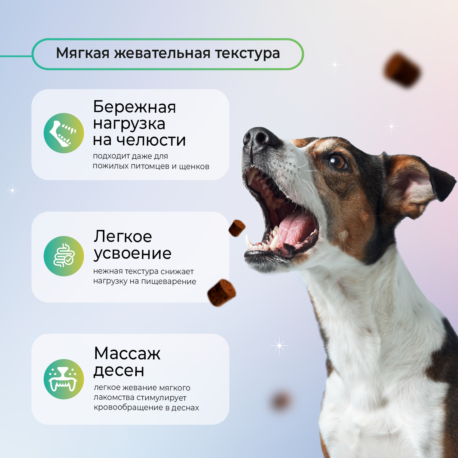 Favet Функциональное лакомство MultivitaminDog Soft Chews для кожи и шерсти для собак, 120г