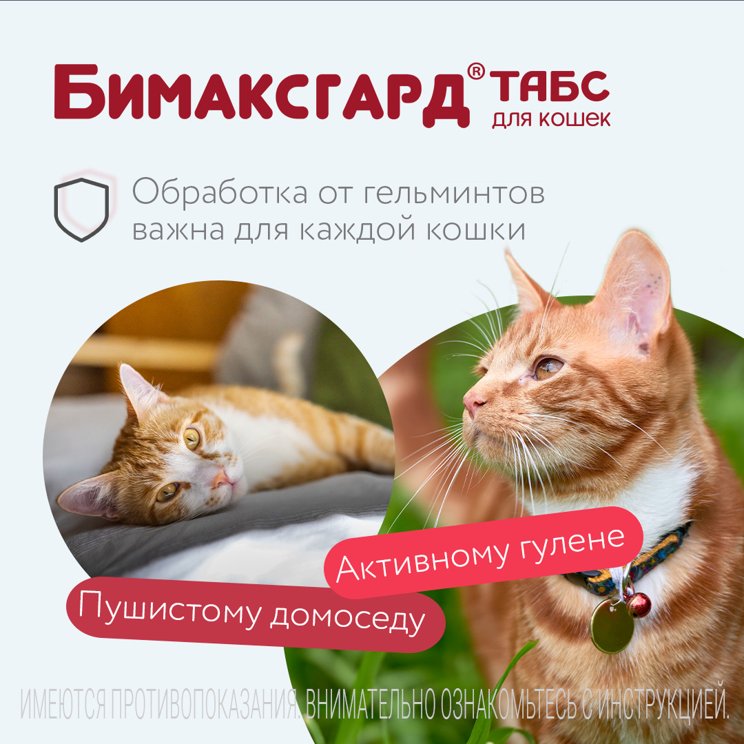 Бимаксгард® ТАБС антигельминтный препарат для крупных кошек, 2 таб.
