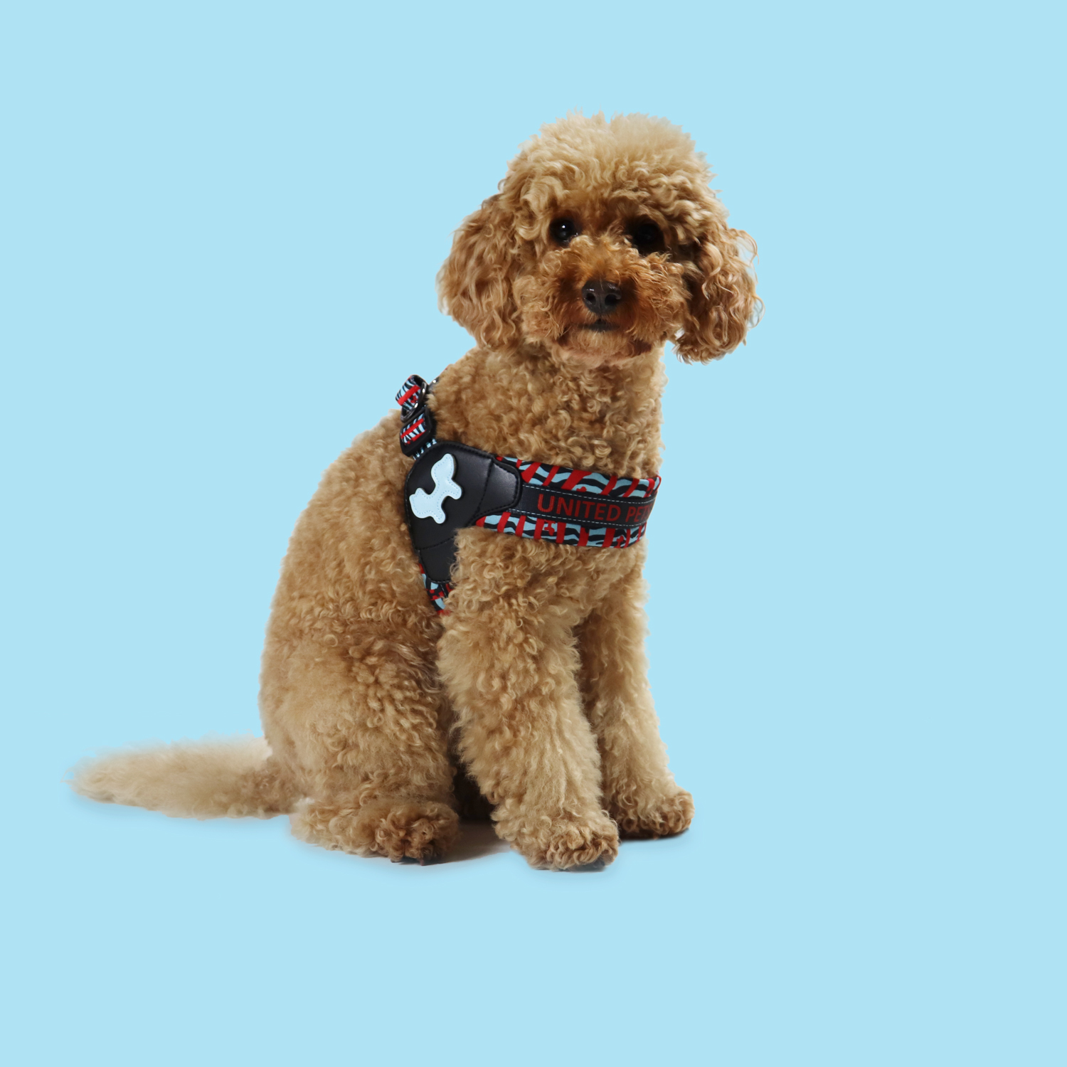Шлейка United Pets для собак Complete me XS 40 x 37-46 см, красная зебра СКИДКА 30%